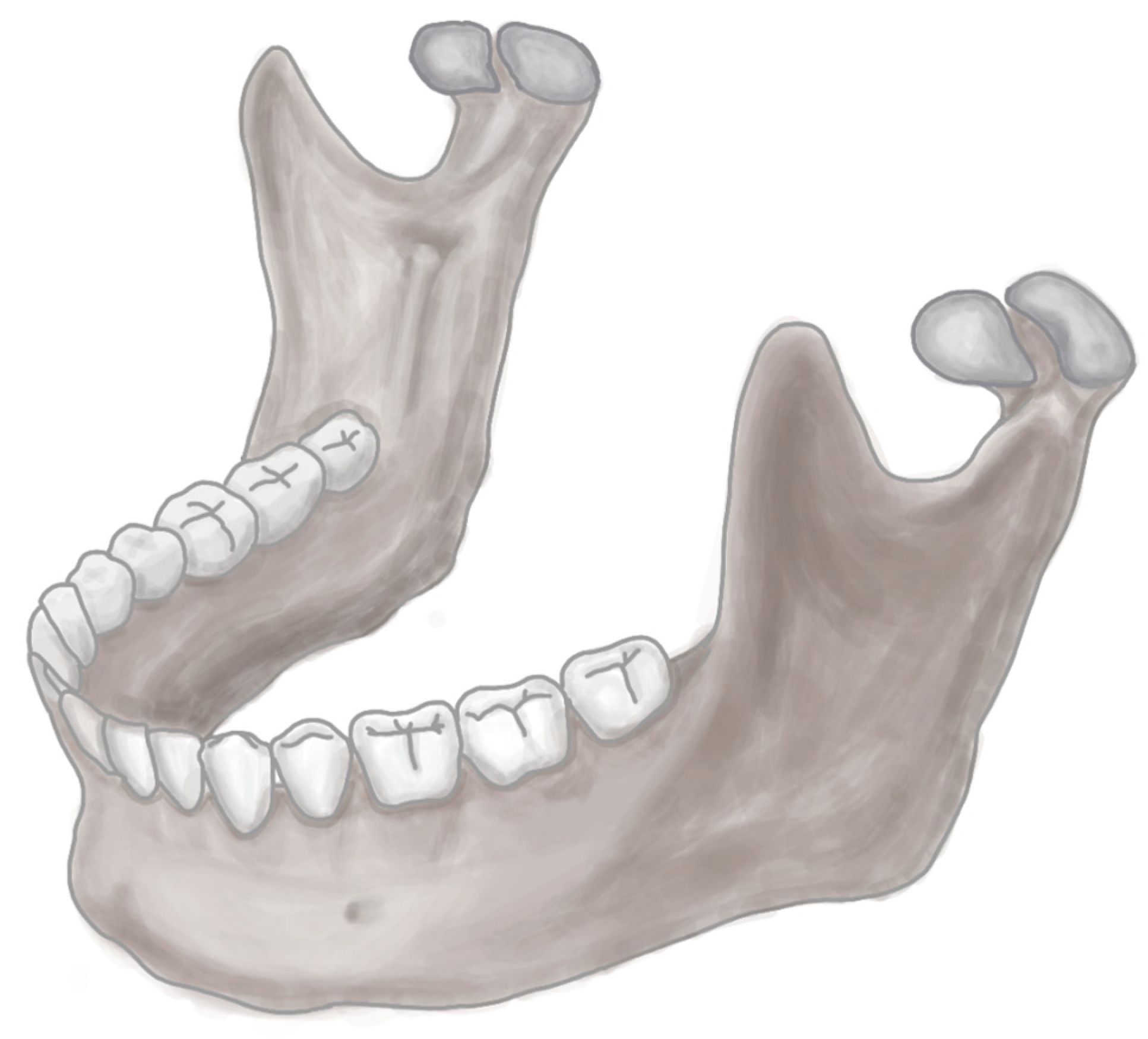 Diagnostics 13 03282 g001 Diagnostics 13 03282 g001