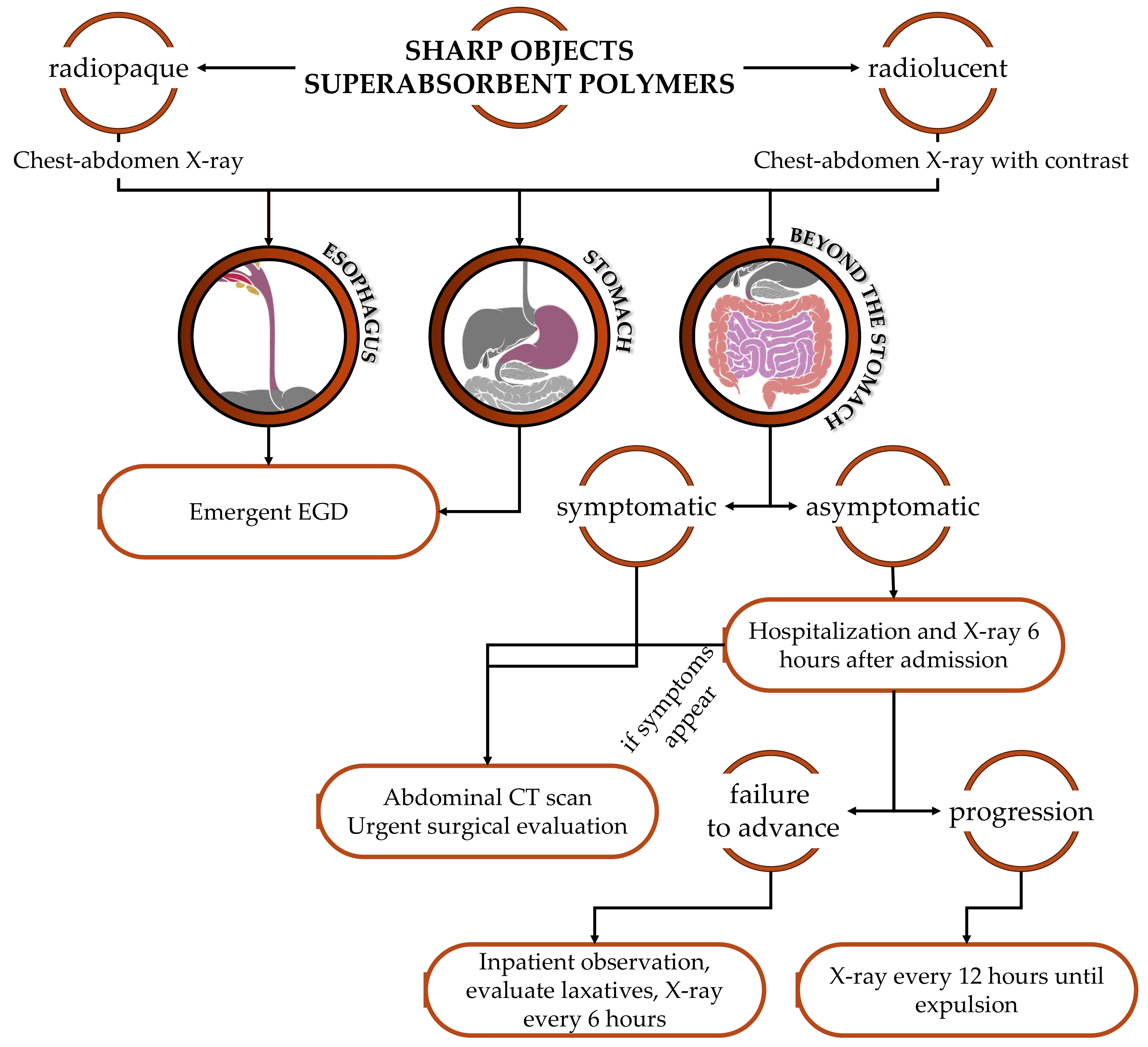 Diagnostics 13 03285 g002