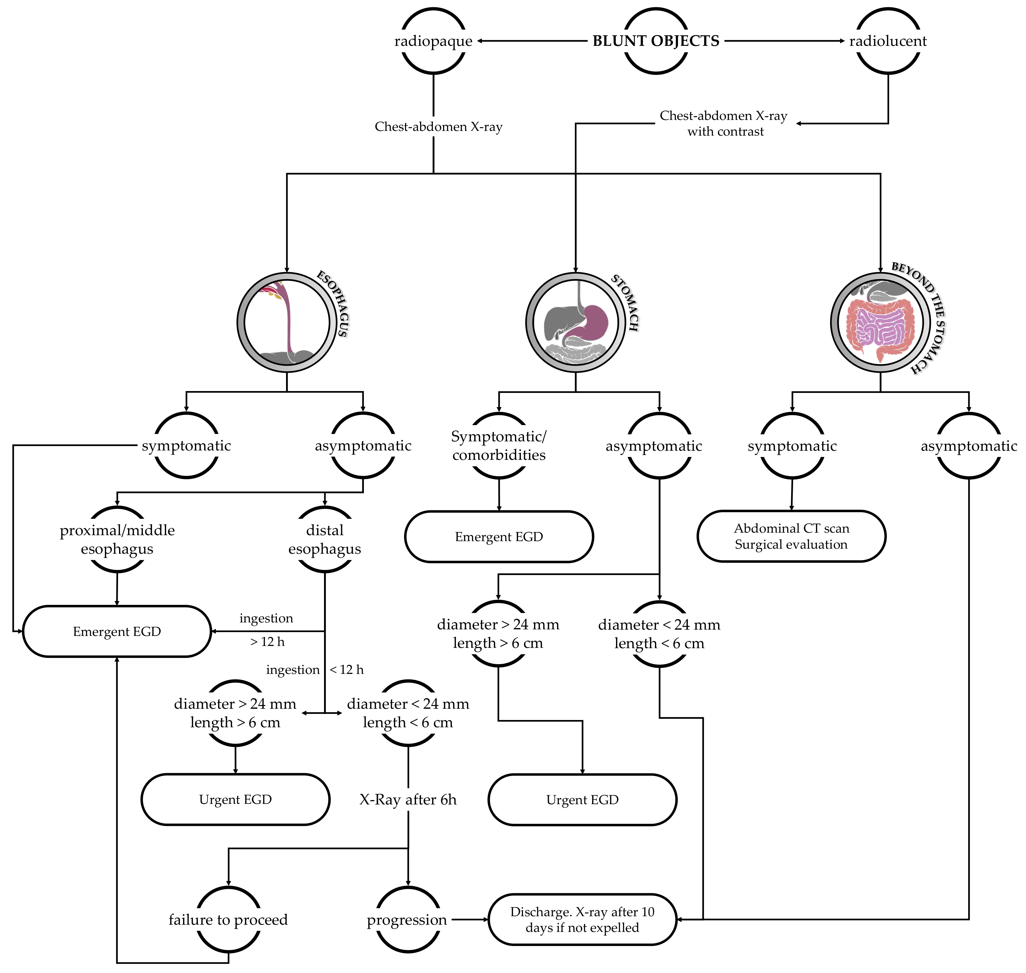 Diagnostics 13 03285 g003