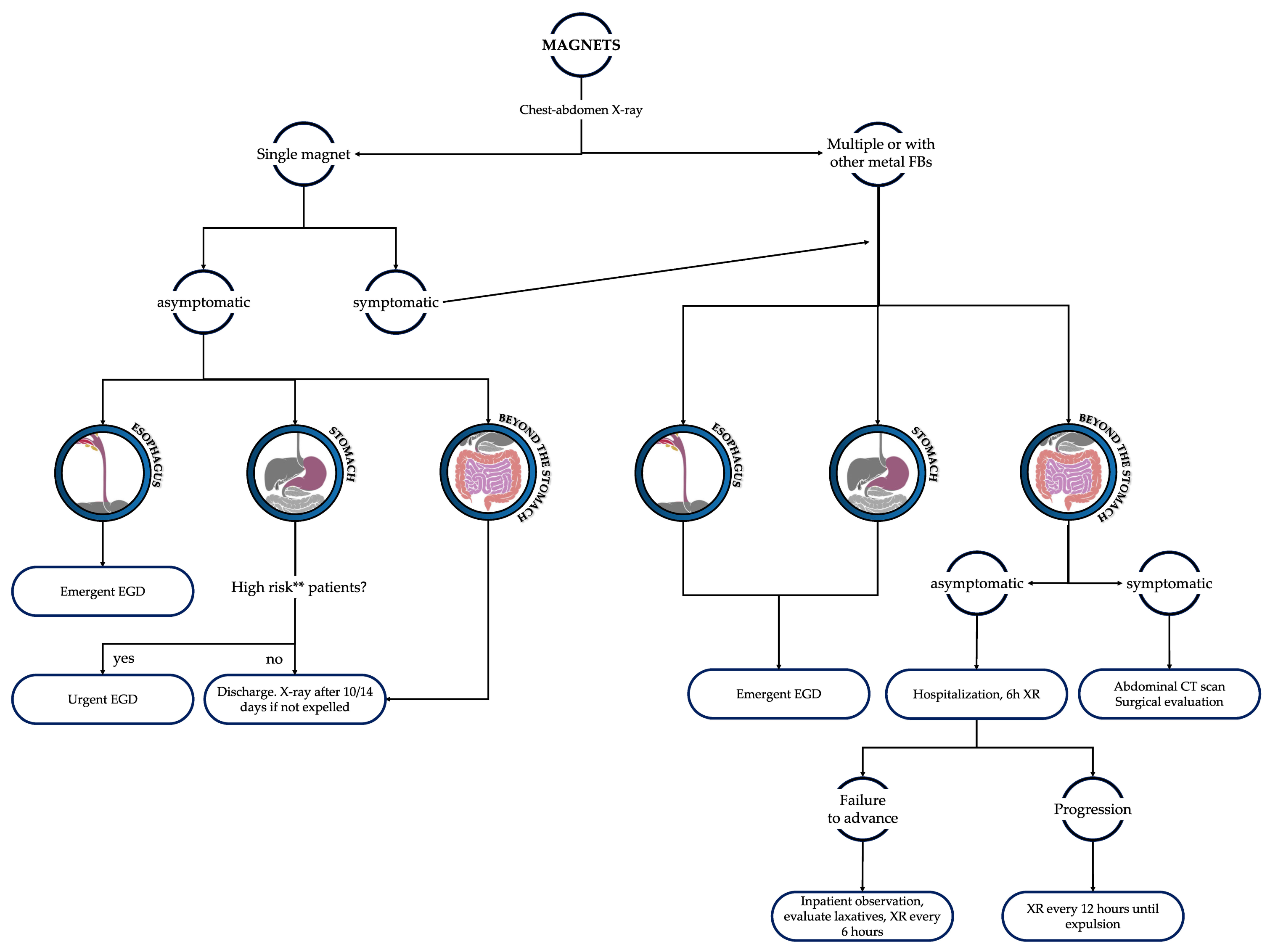 Diagnostics 13 03285 g004