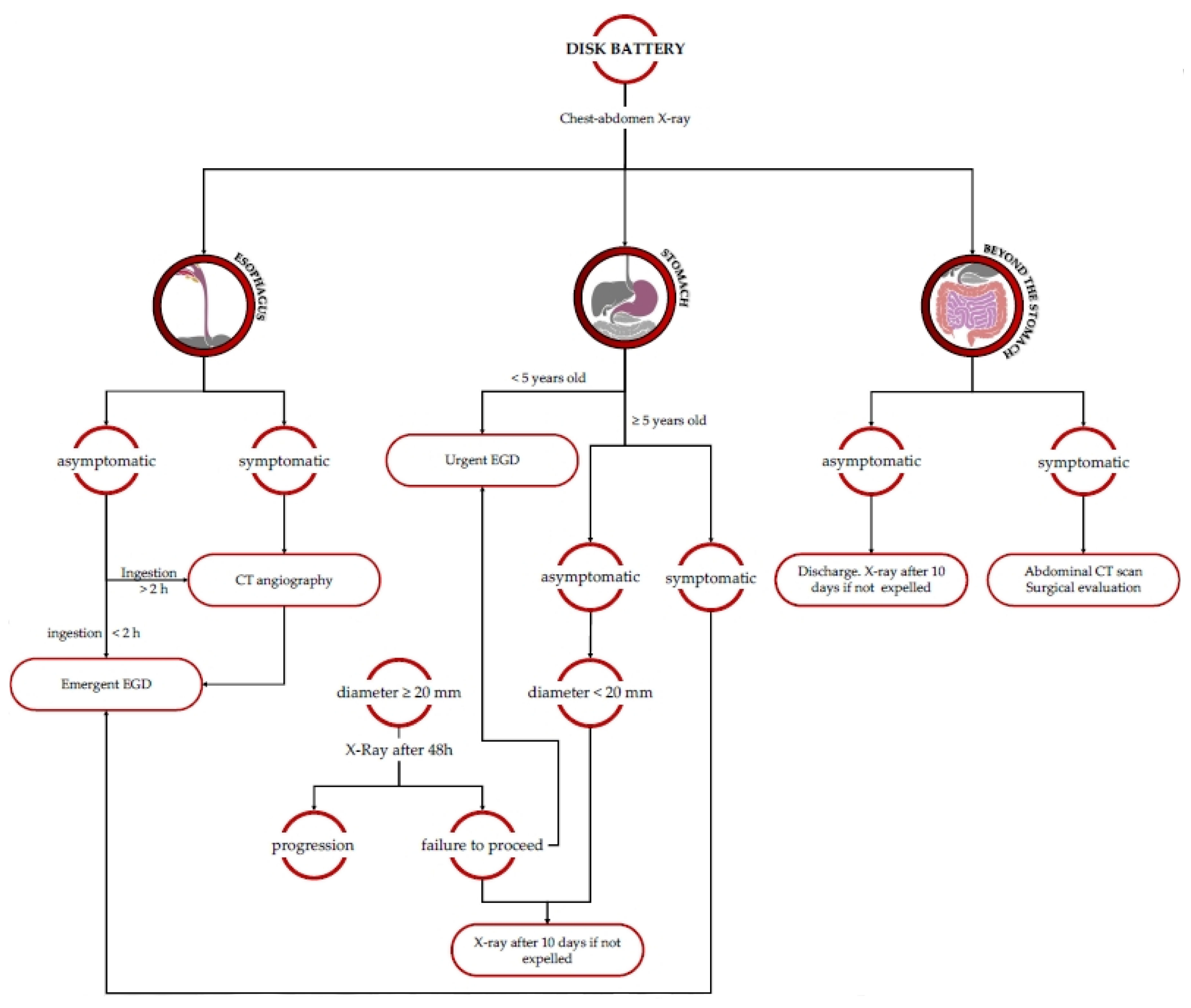 Diagnostics 13 03285 g005