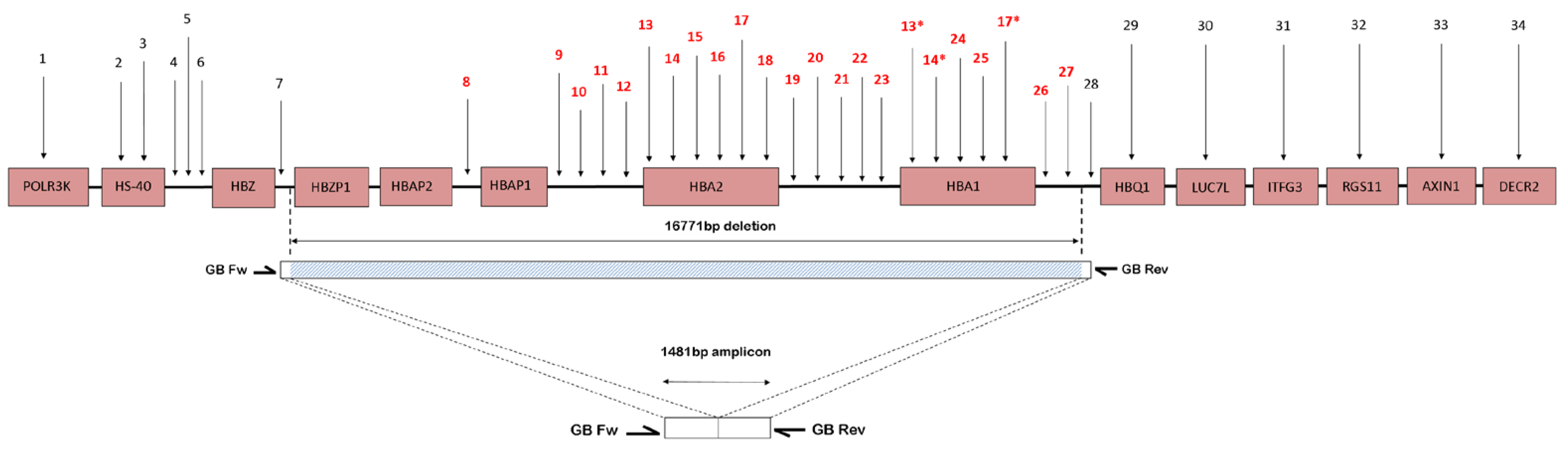 Diagnostics 13 03286 g001