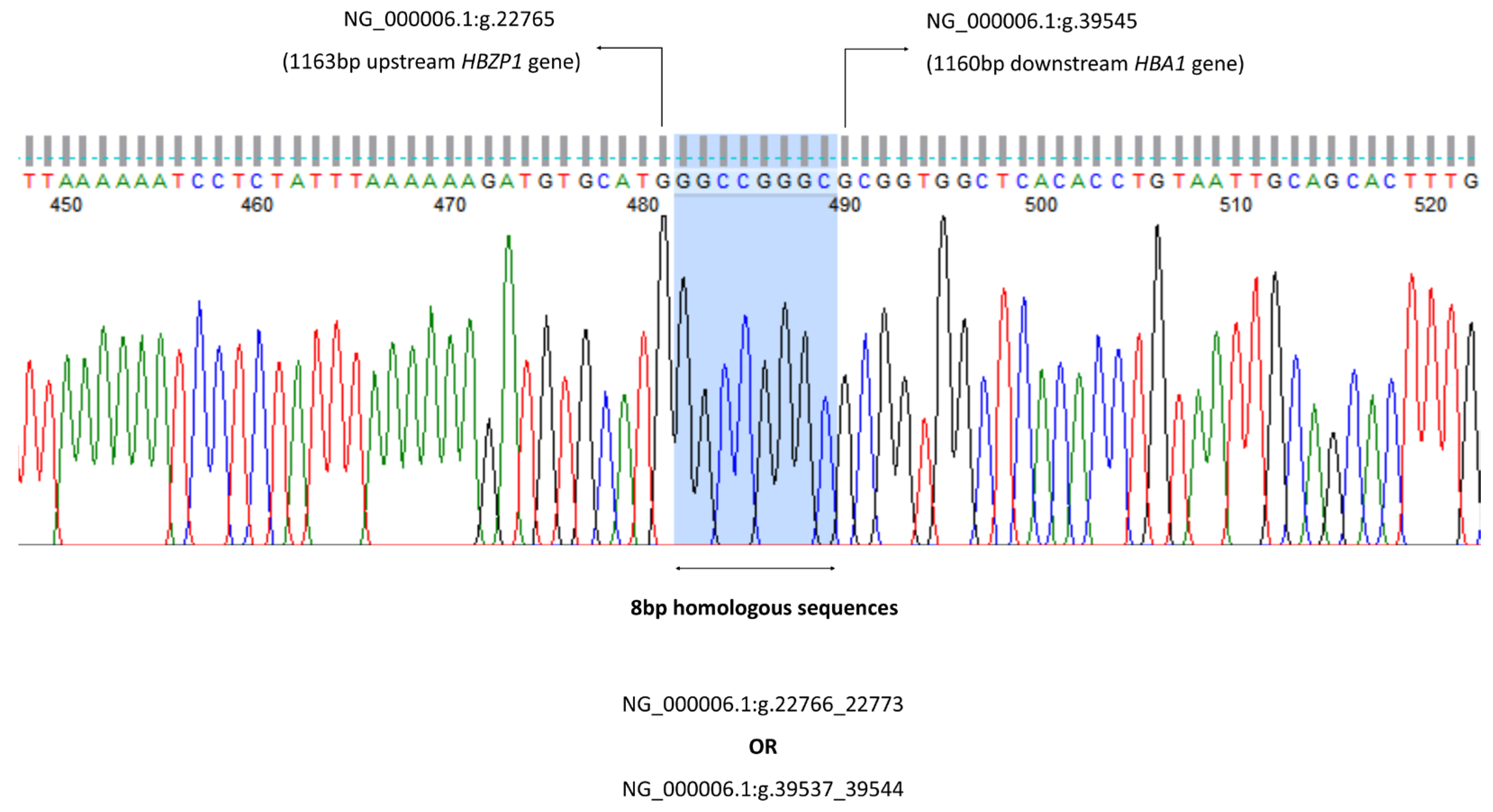 Diagnostics 13 03286 g002