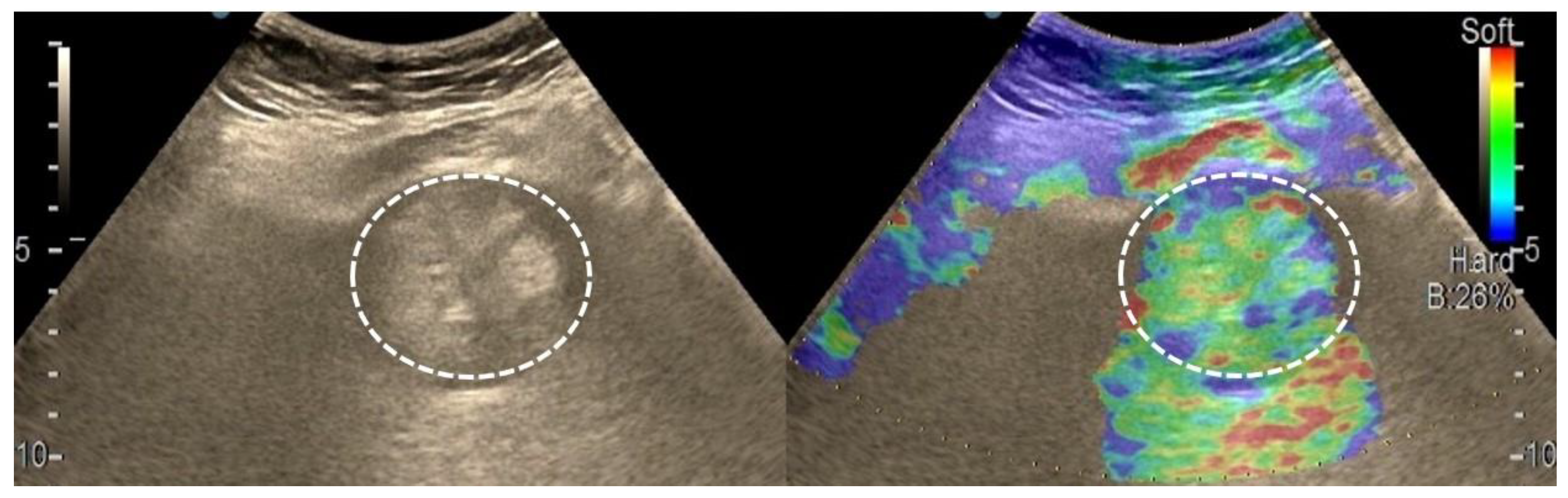 Diagnostics 13 03288 g003