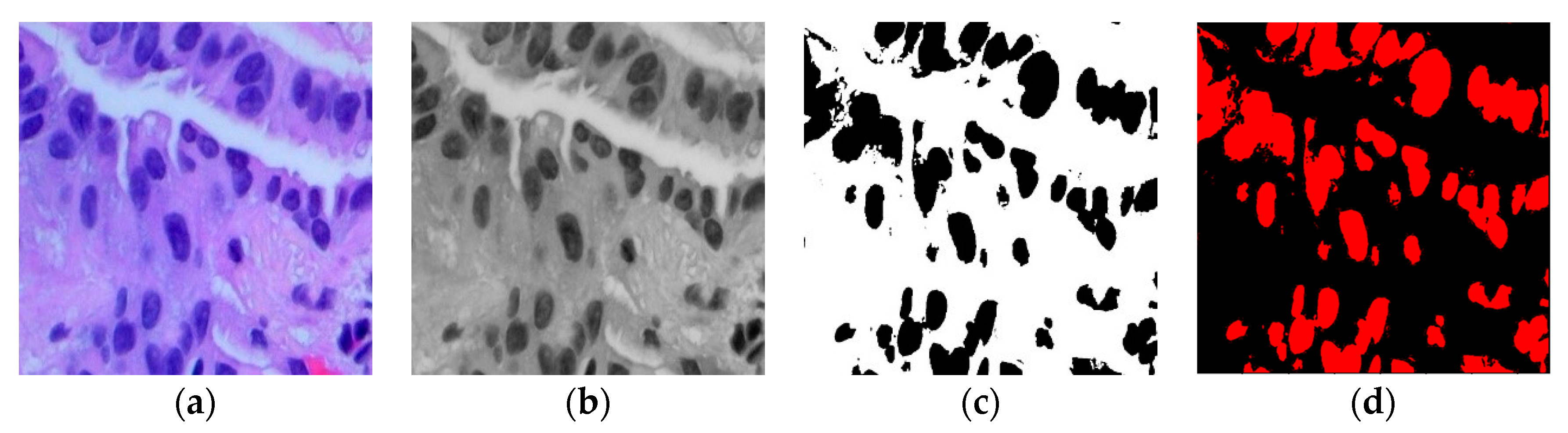 Diagnostics 13 03289 g002