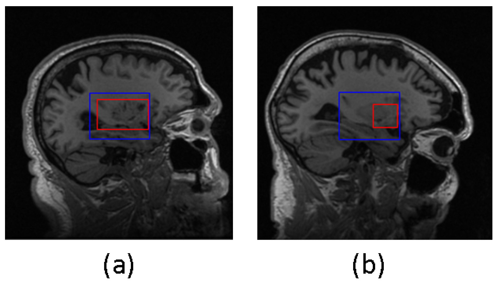 Diagnostics 13 03292 g005