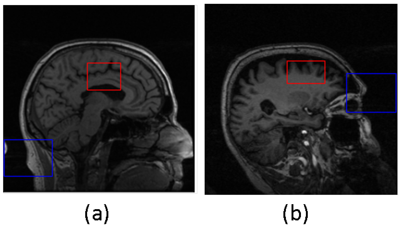 Diagnostics 13 03292 g006