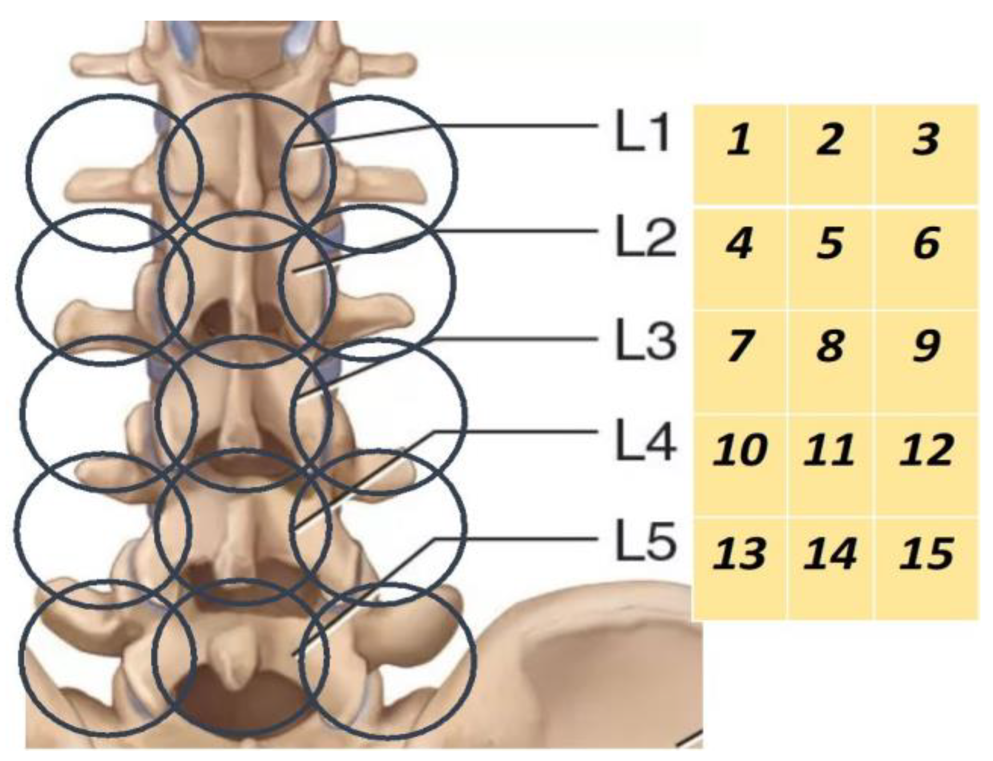 Diagnostics 13 03294 g001