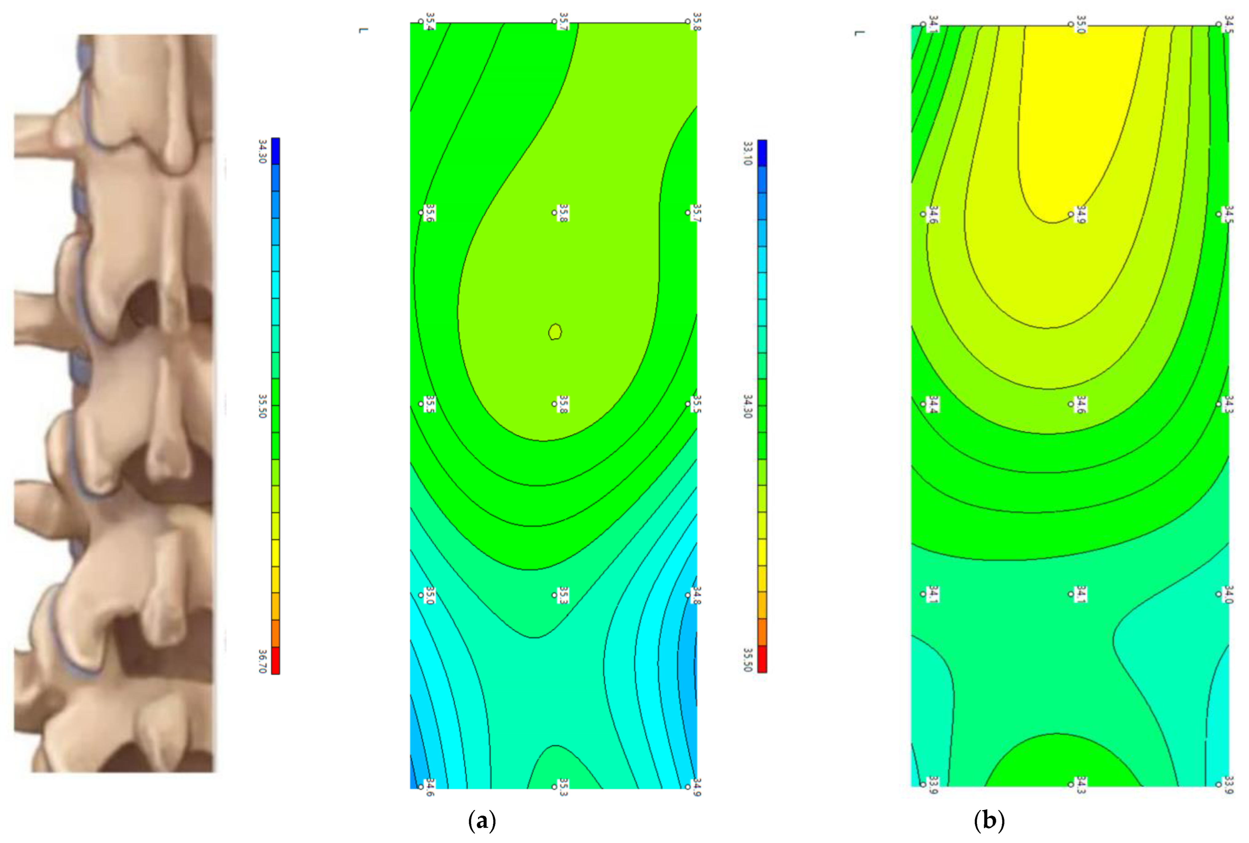 Diagnostics 13 03294 g004