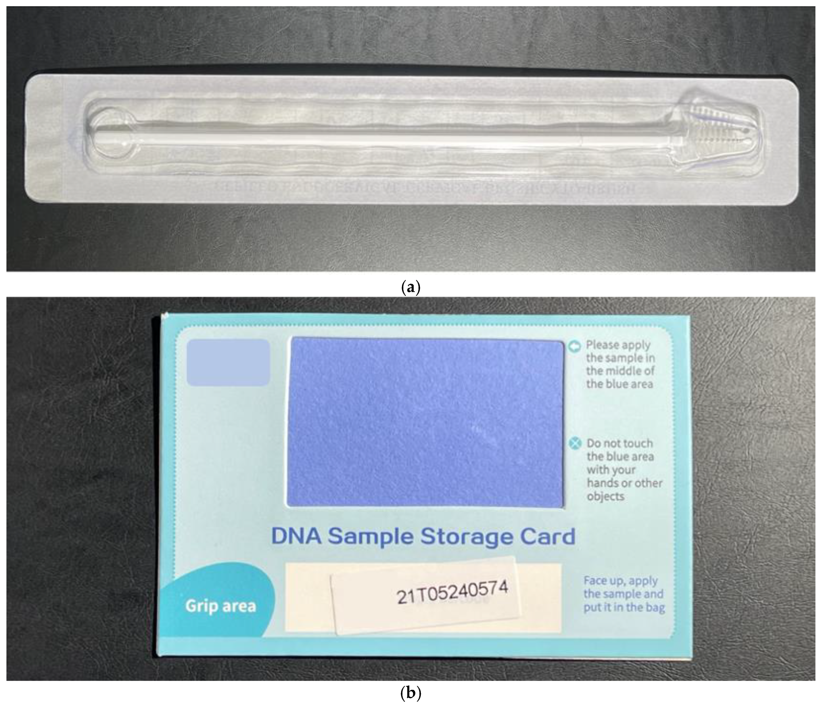 Diagnostics 13 03297 g001
