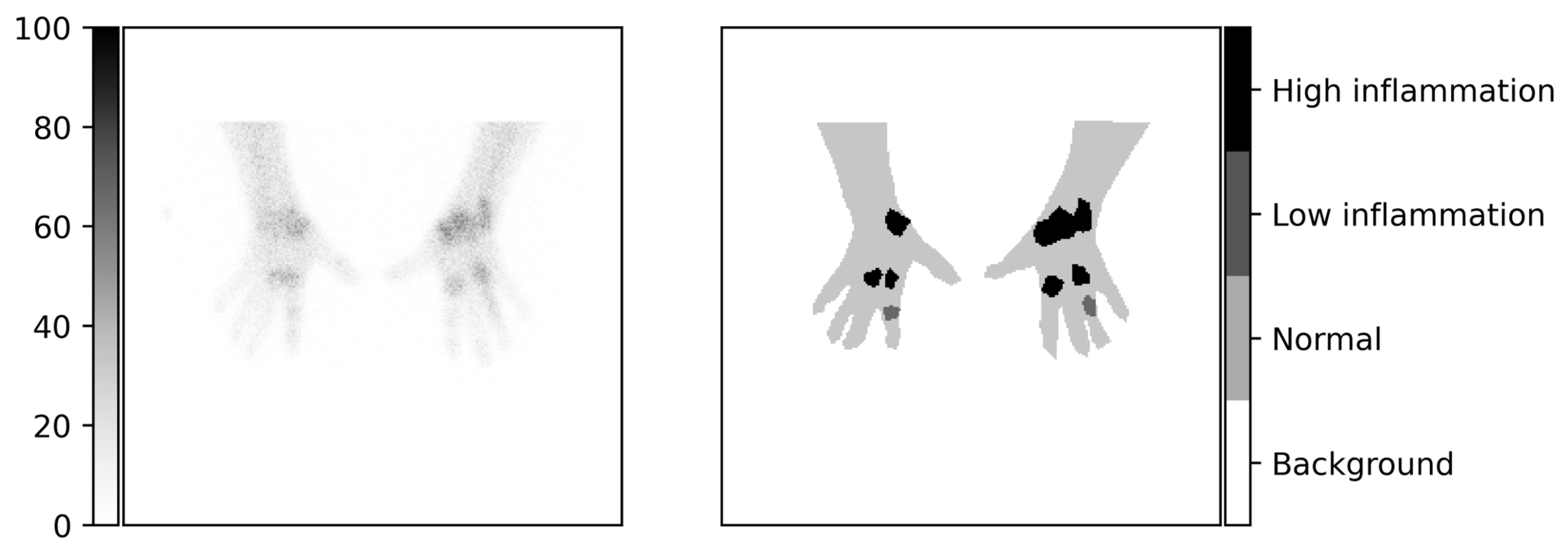 Diagnostics 13 03298 g002