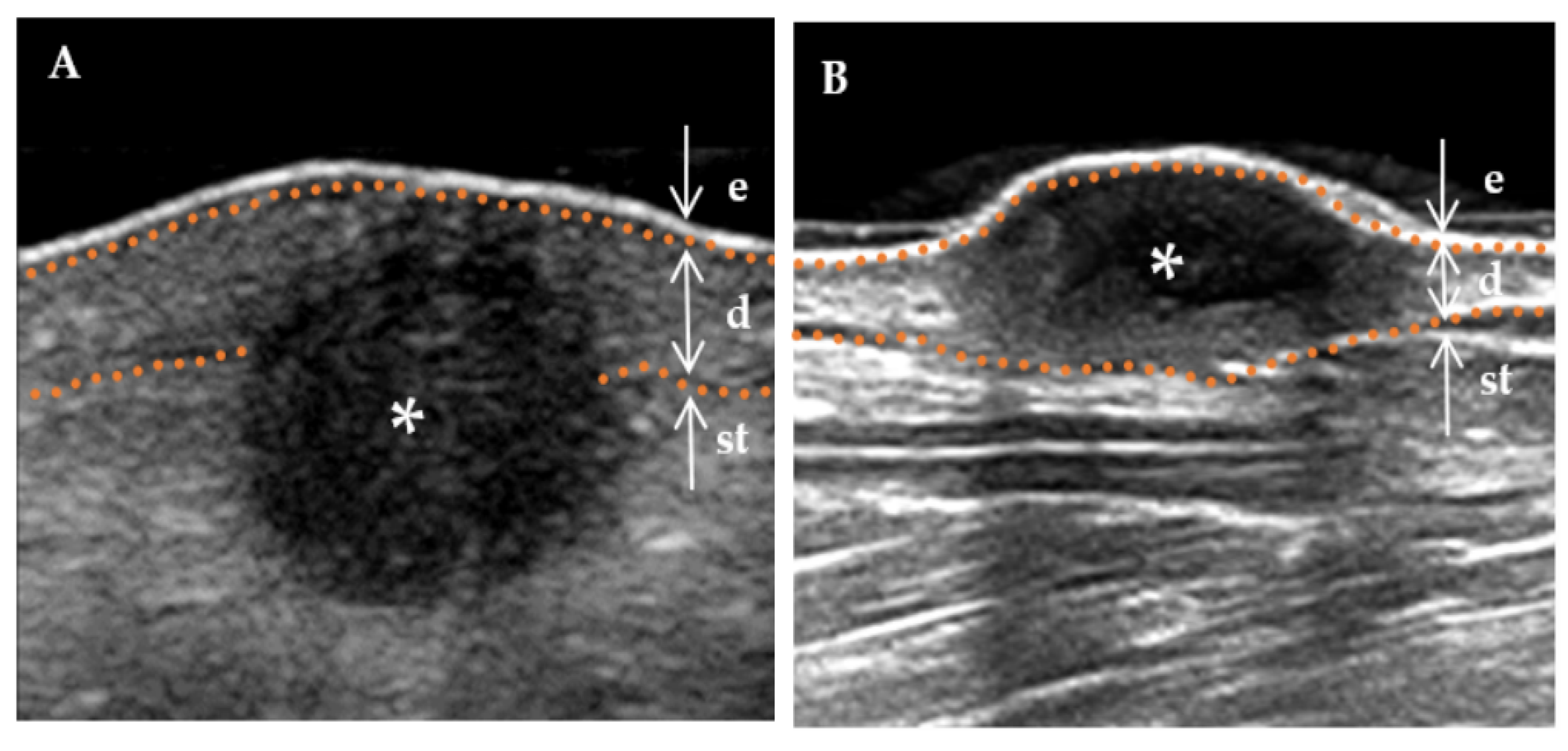 Diagnostics 13 03305 g003