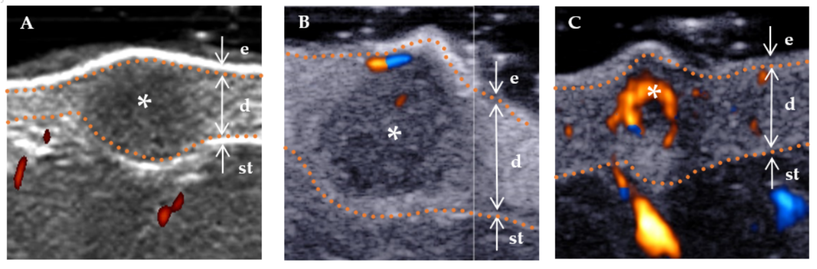 Diagnostics 13 03305 g004