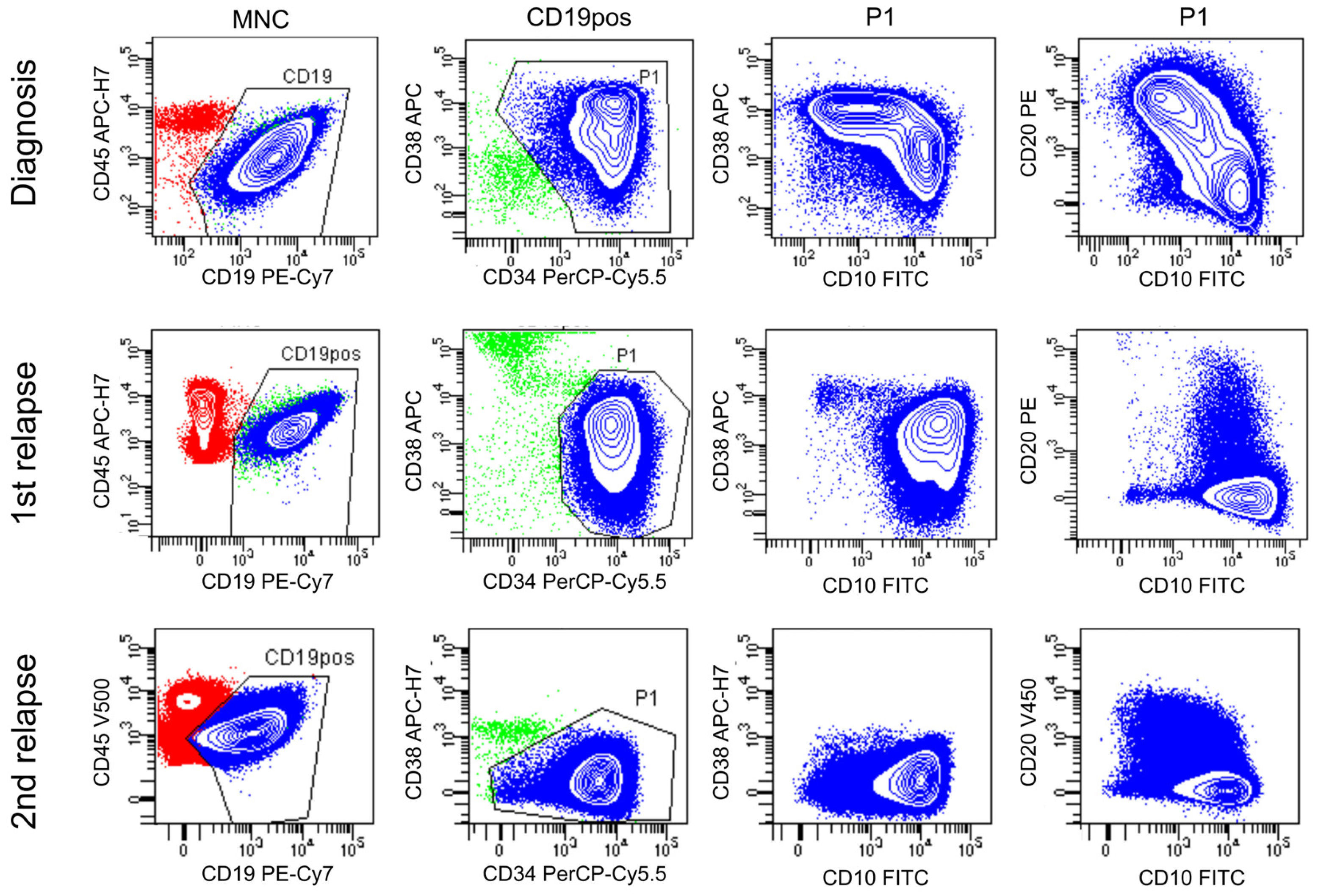 Diagnostics 13 03306 g003