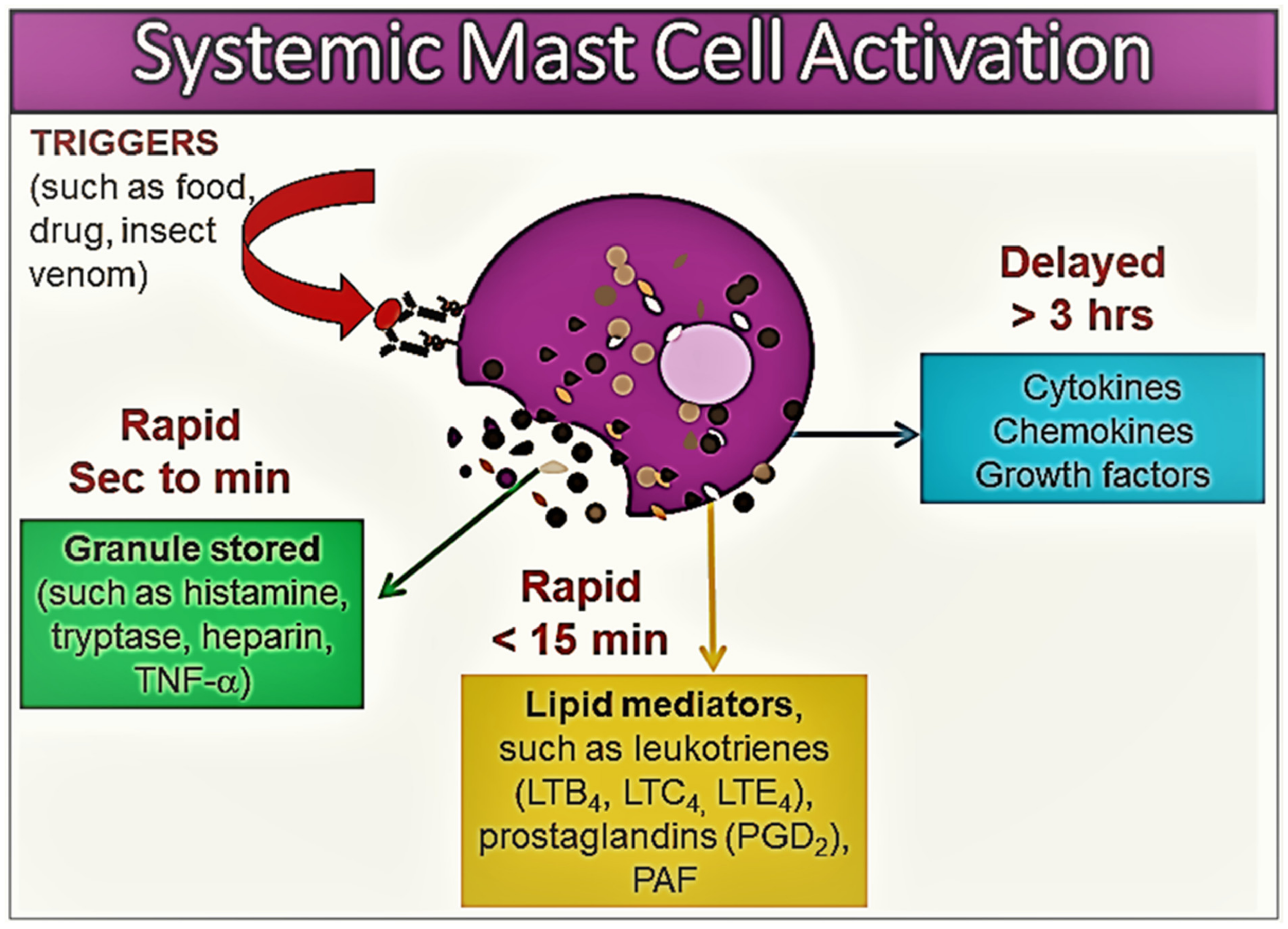 Diagnostics 13 03307 g001