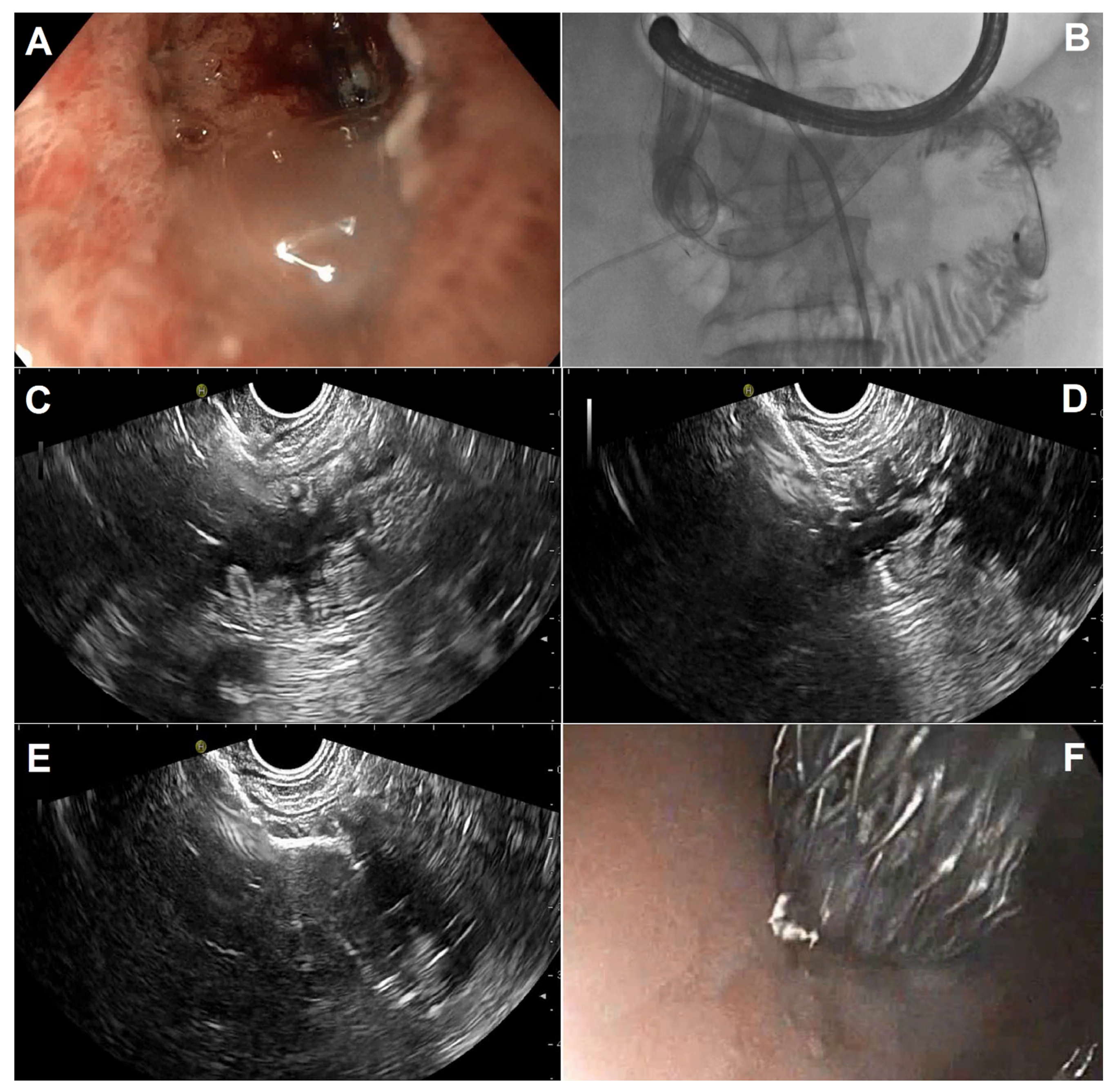 Diagnostics 13 03308 g002