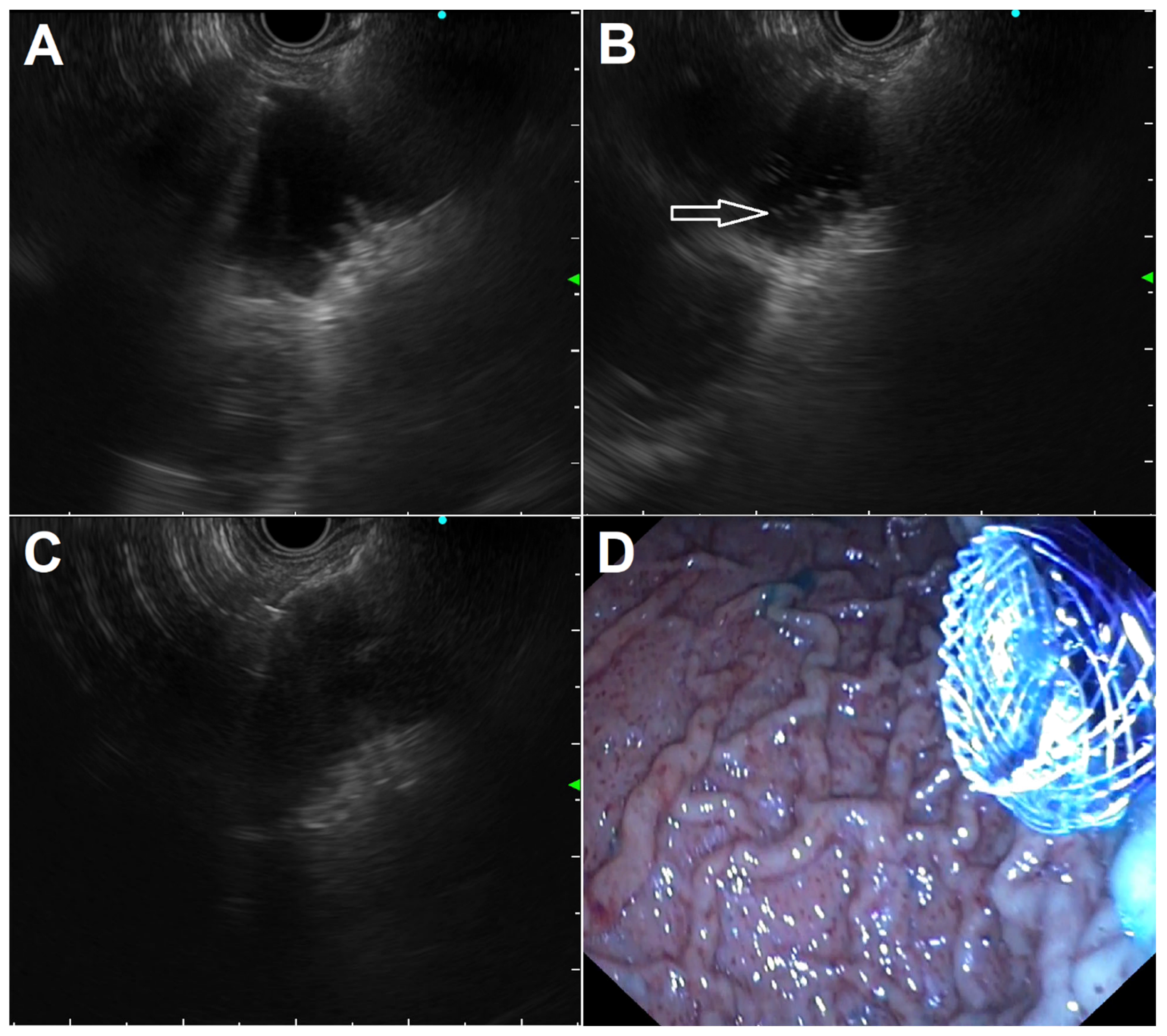 Diagnostics 13 03308 g003