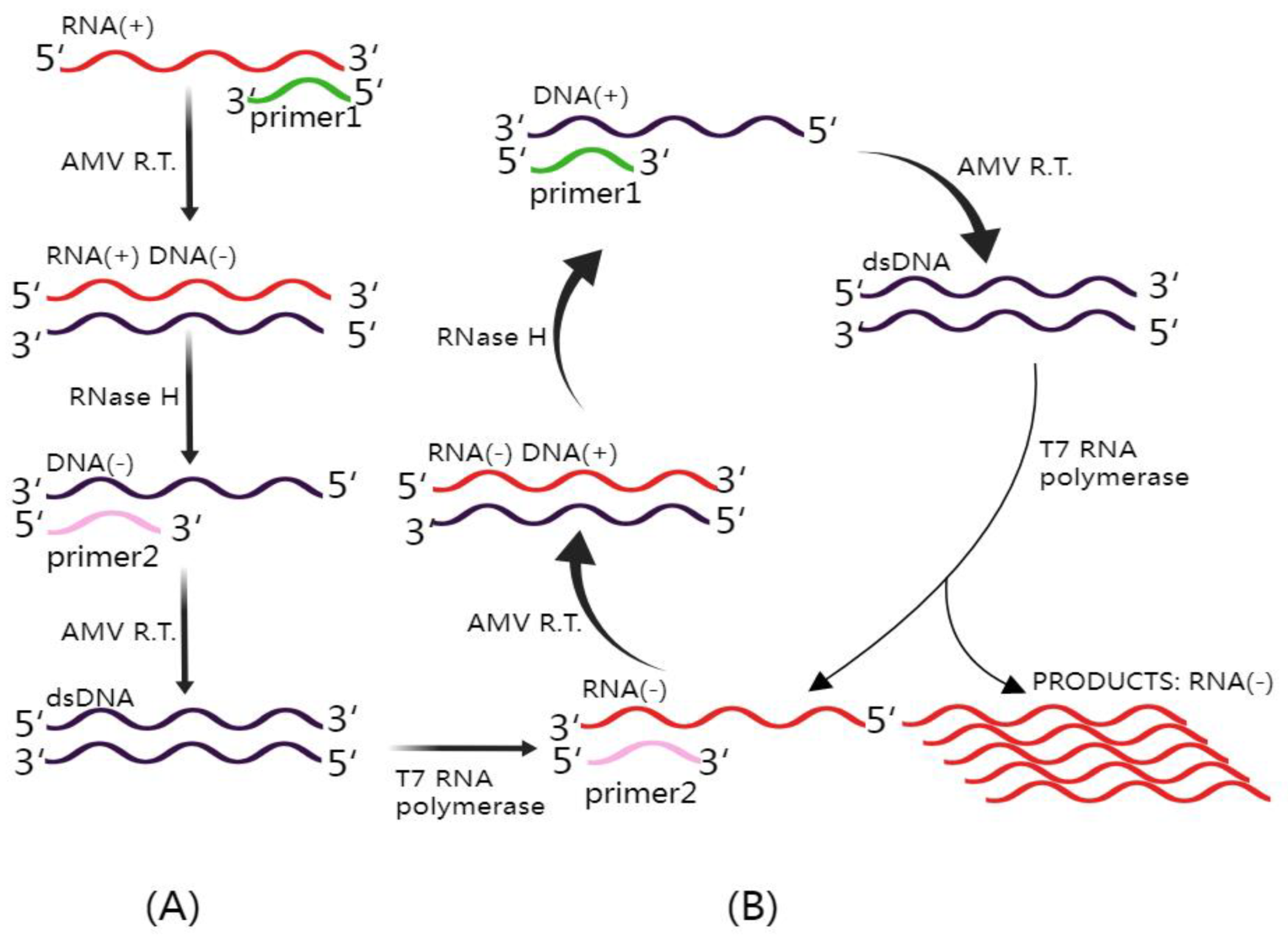 Diagnostics 13 03310 g003