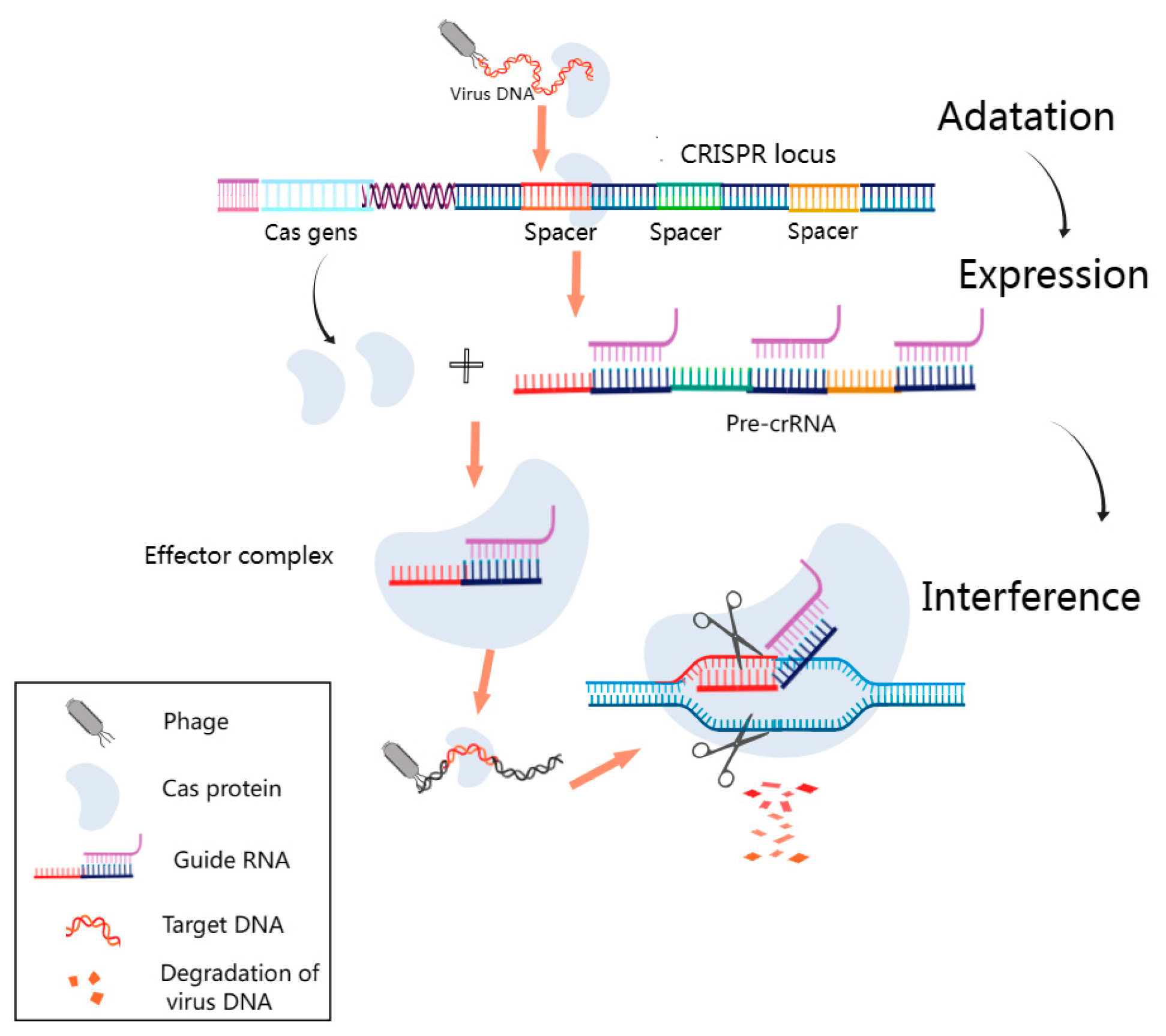 Diagnostics 13 03310 g004
