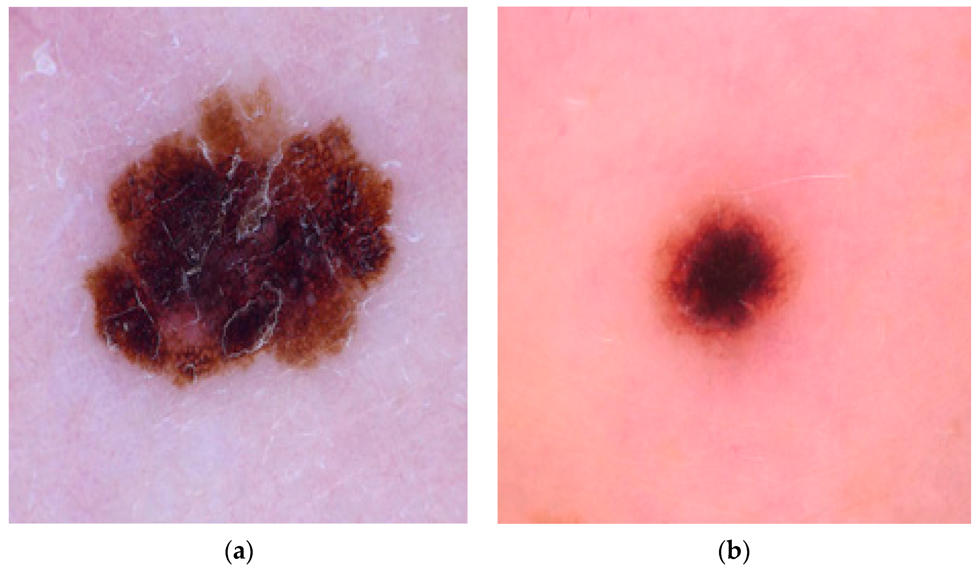 Diagnostics 13 03313 g004