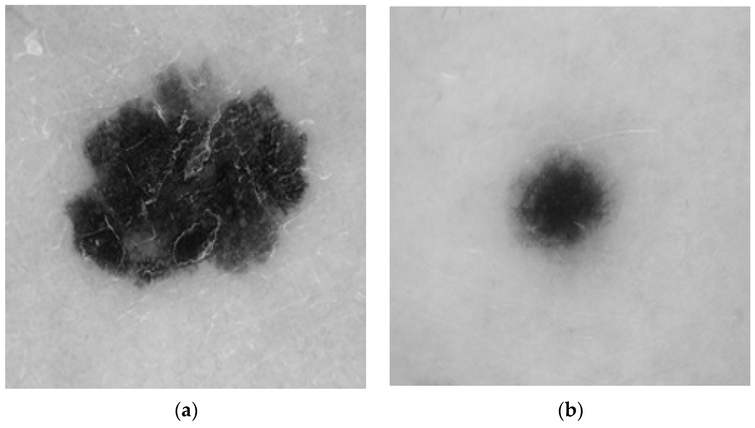 Diagnostics 13 03313 g005
