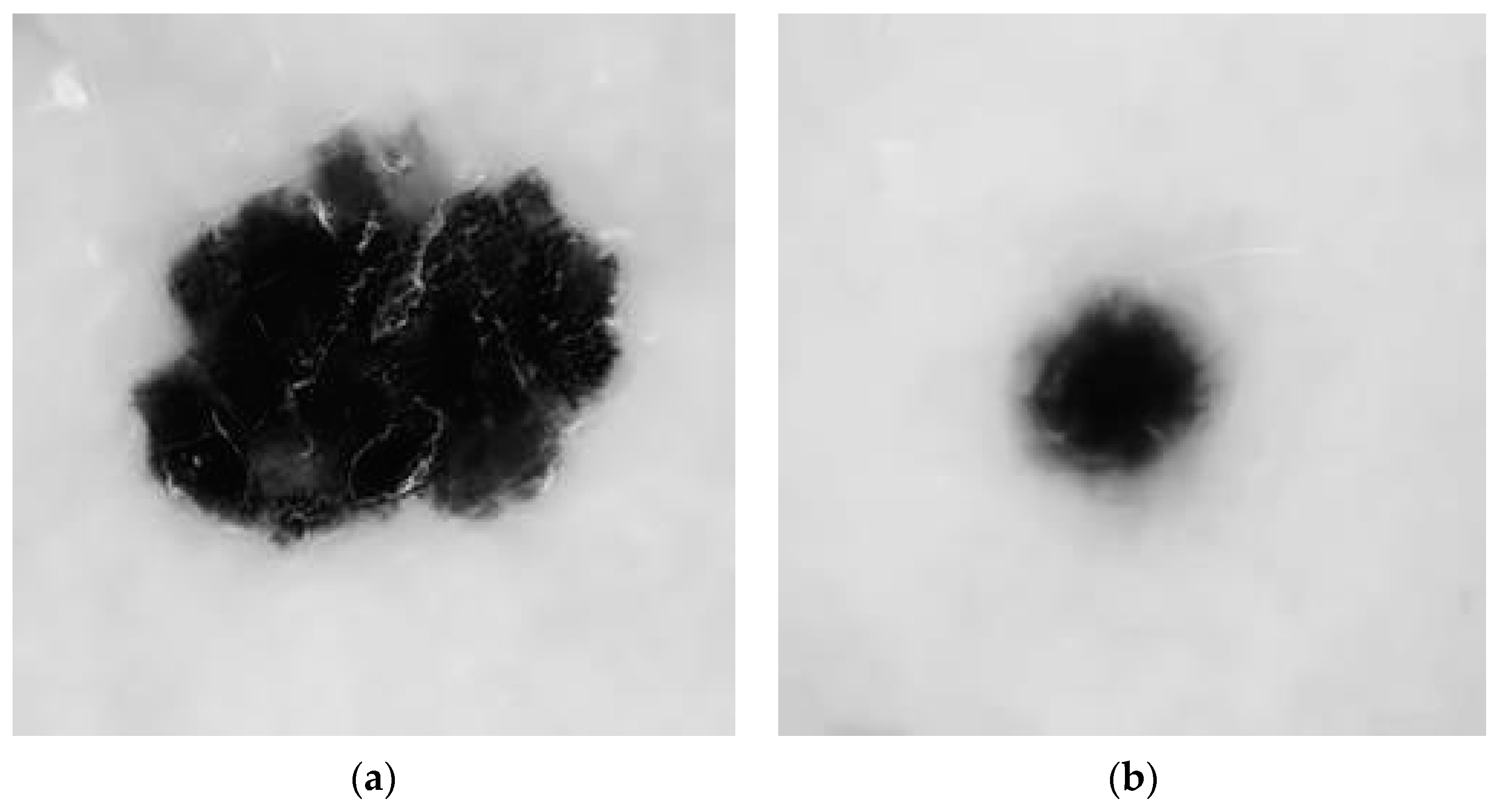 Diagnostics 13 03313 g007