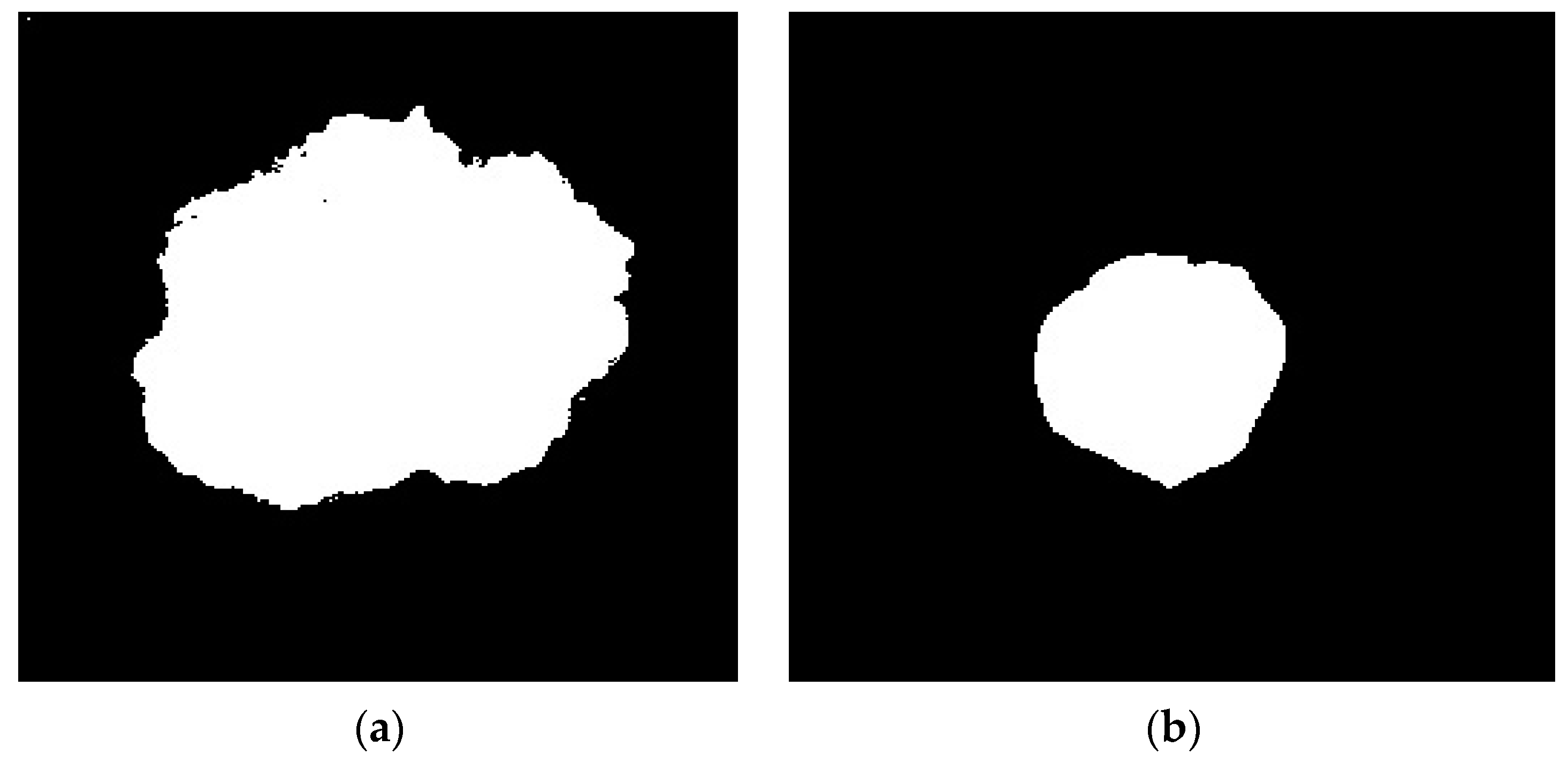 Diagnostics 13 03313 g008