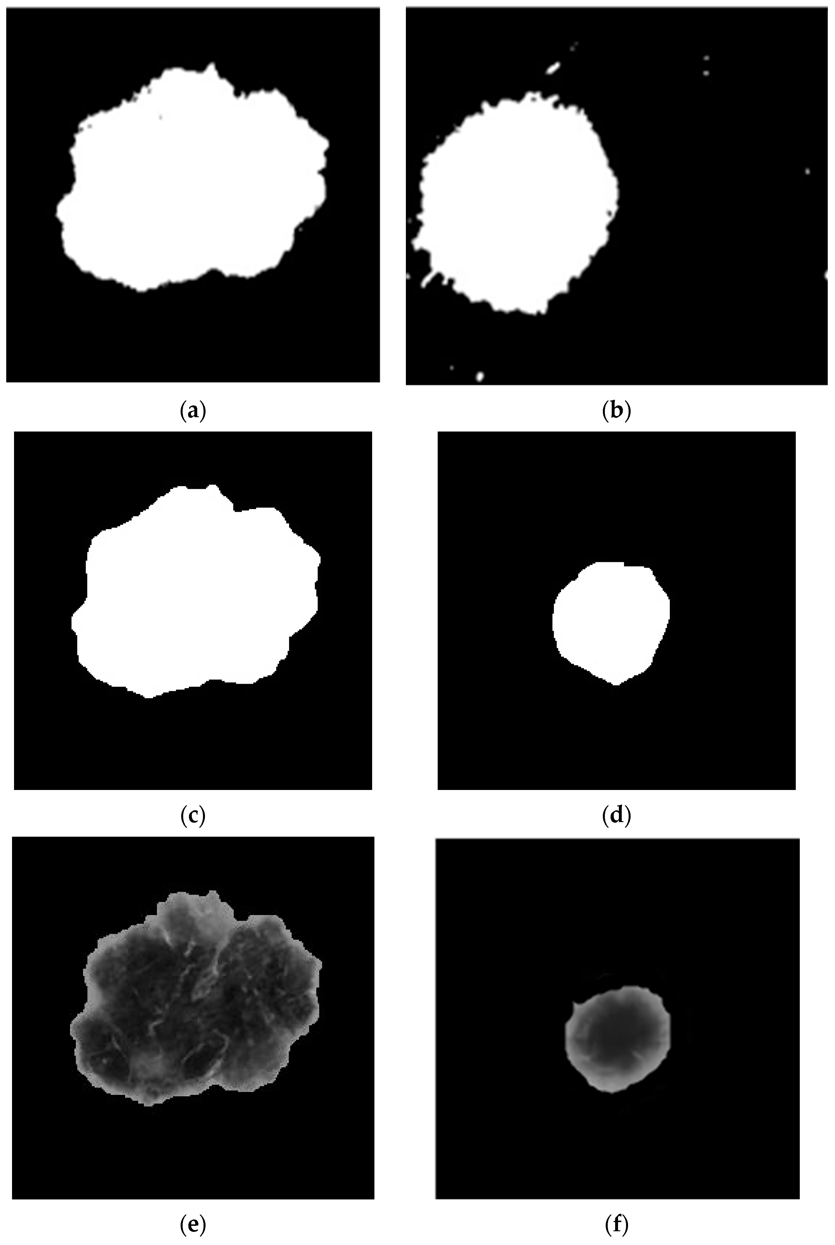 Diagnostics 13 03313 g009