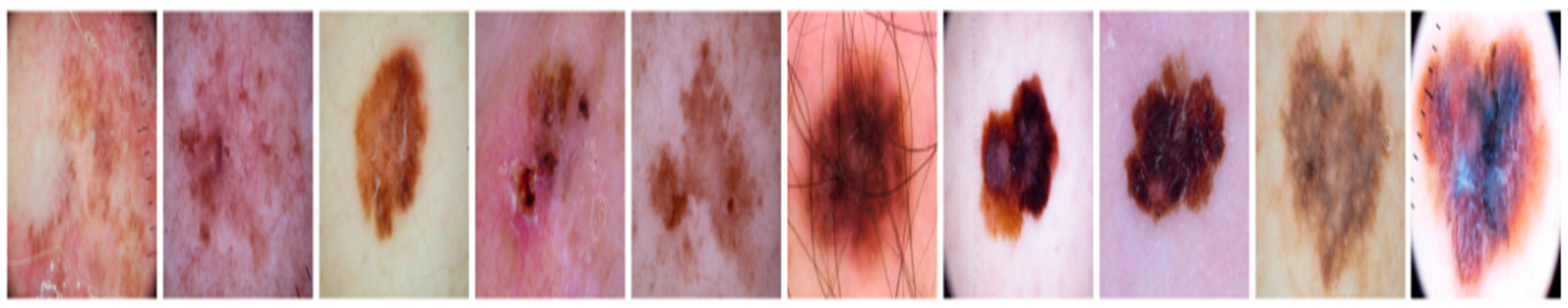 Diagnostics 13 03313 g013