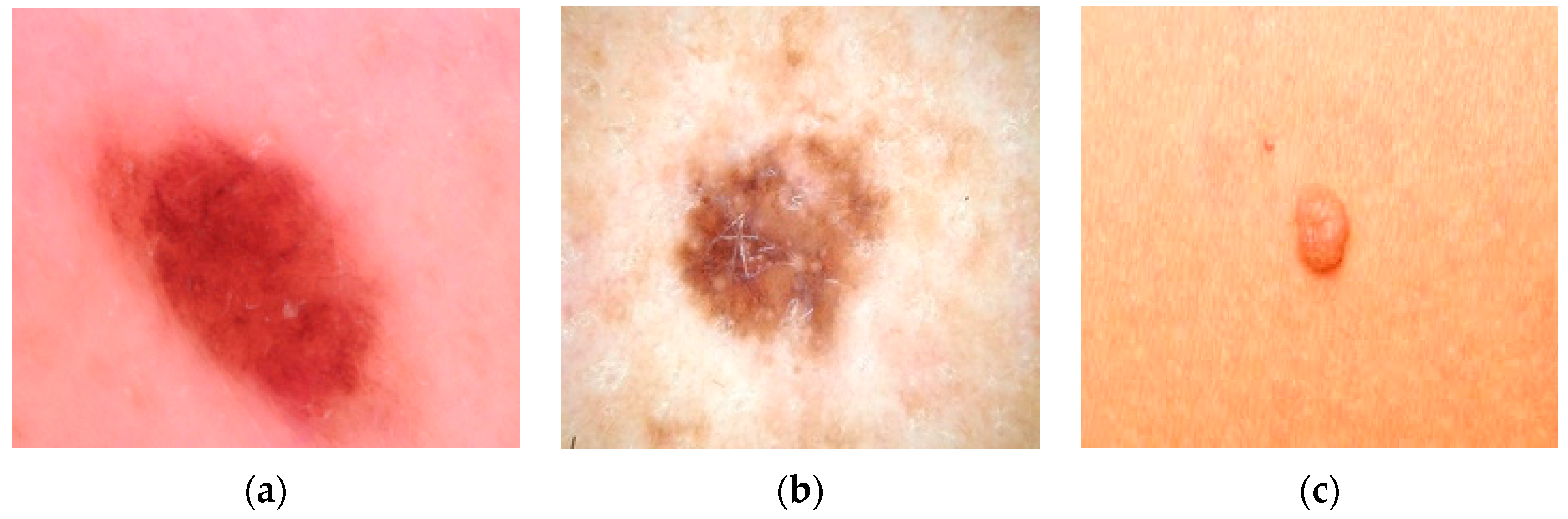 Diagnostics 13 03313 g021