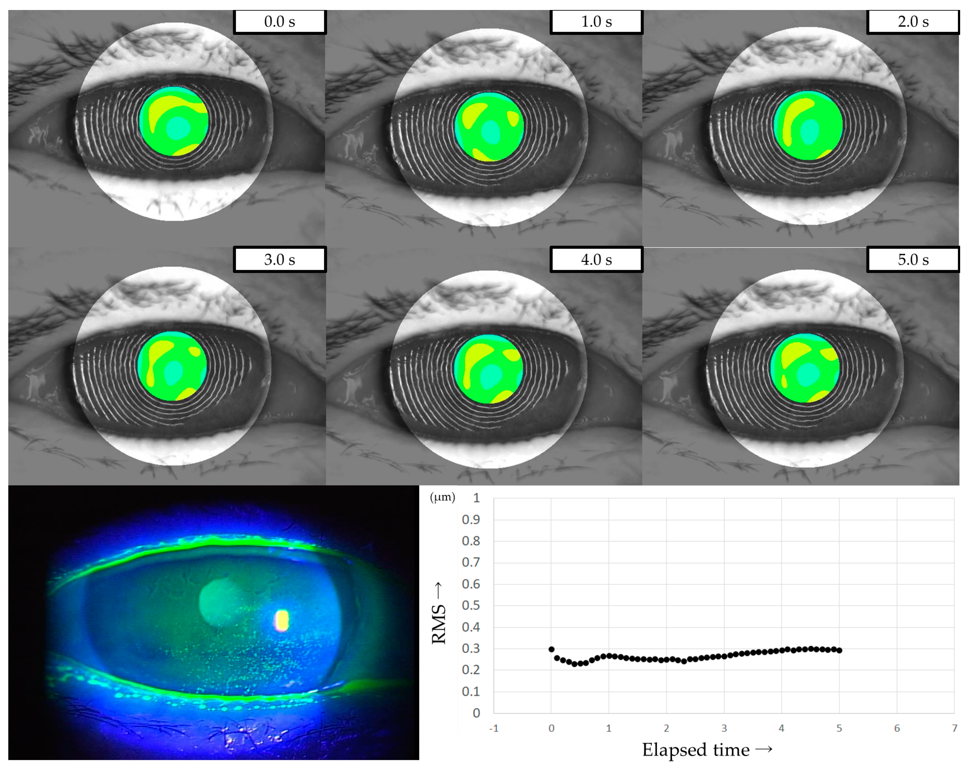 Diagnostics 13 03319 g004