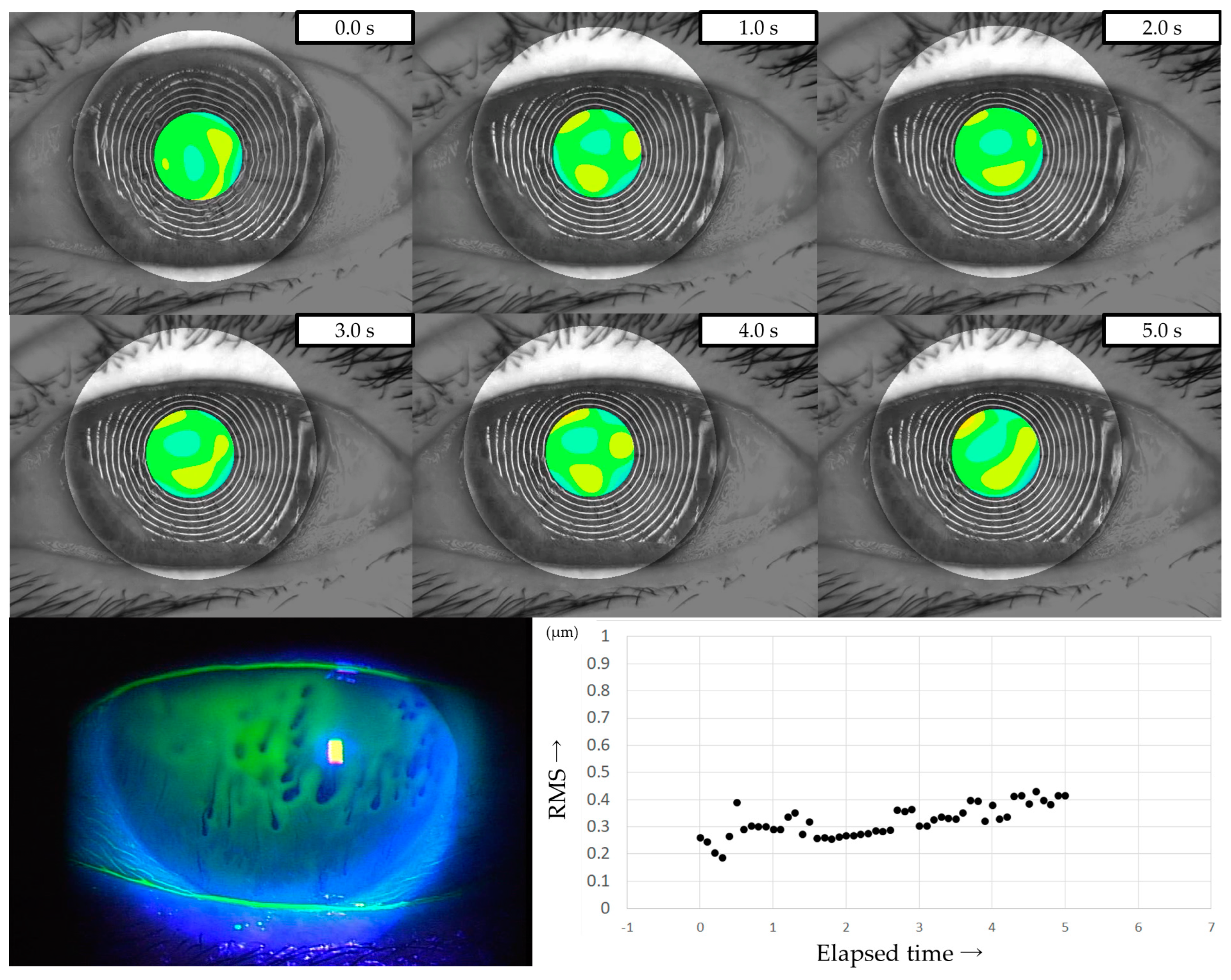 Diagnostics 13 03319 g005