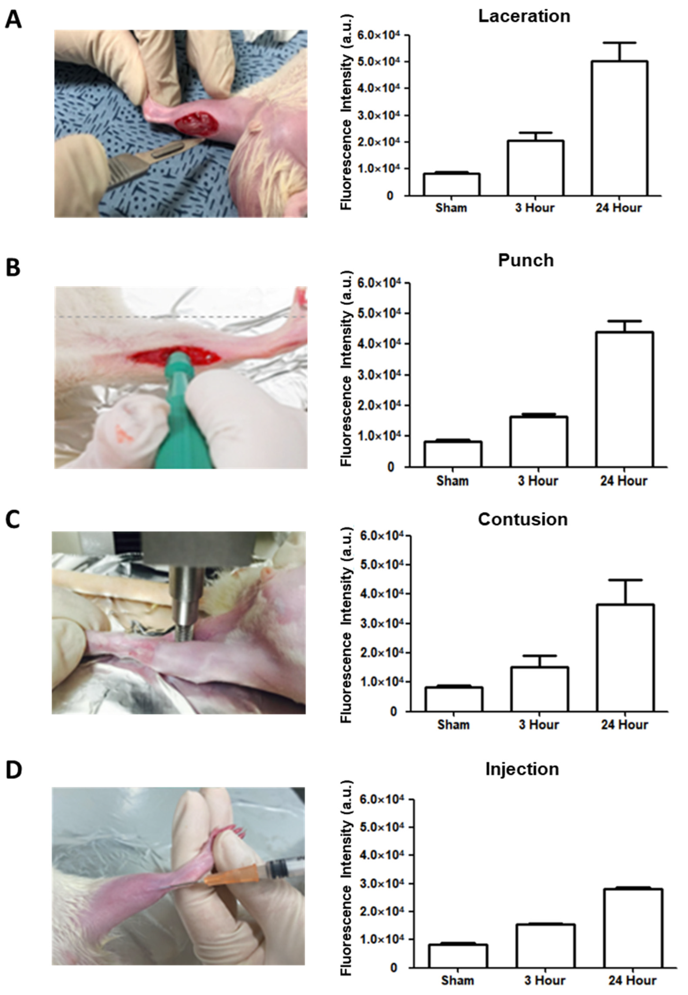 Diagnostics 13 03320 g002