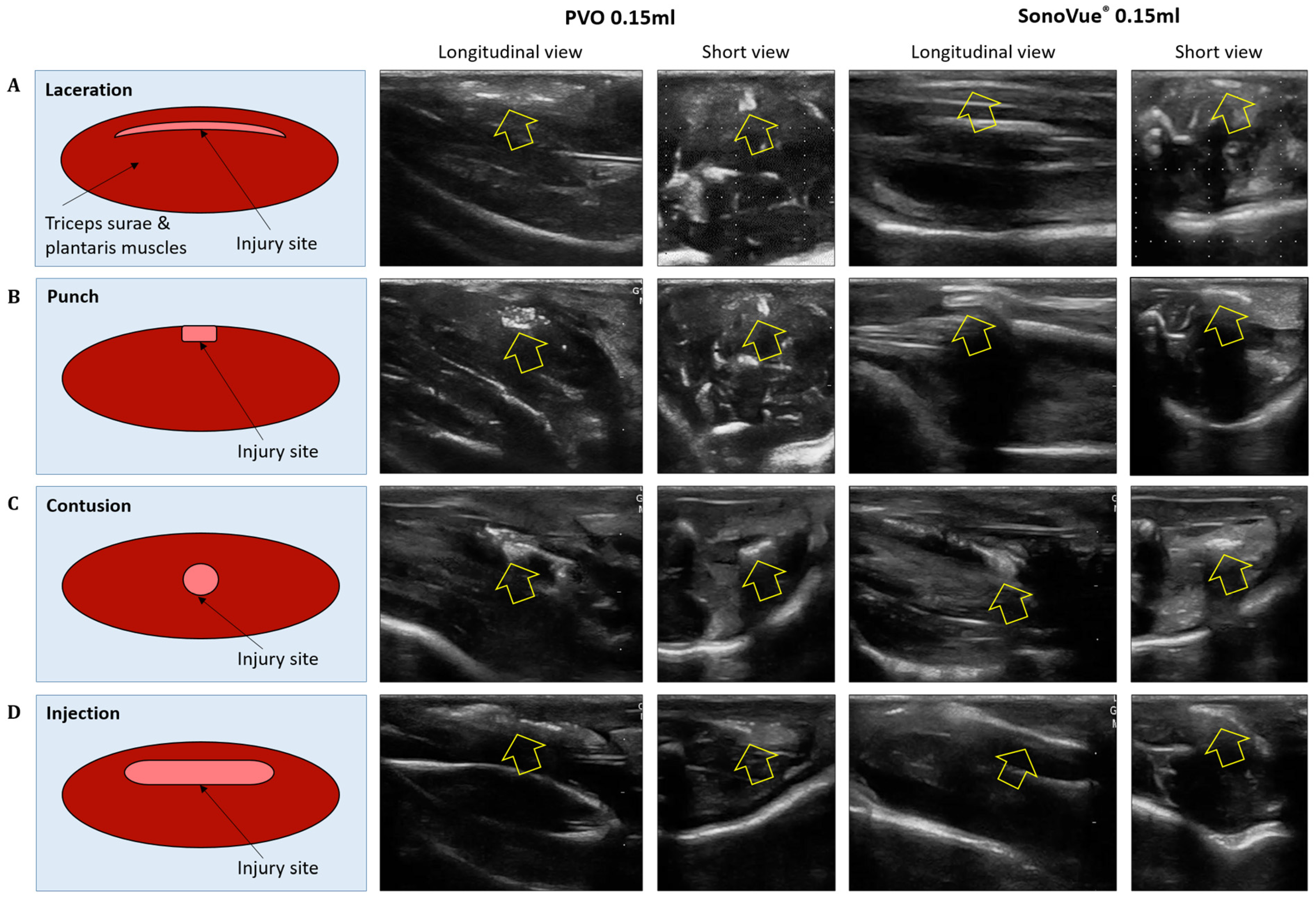Diagnostics 13 03320 g004