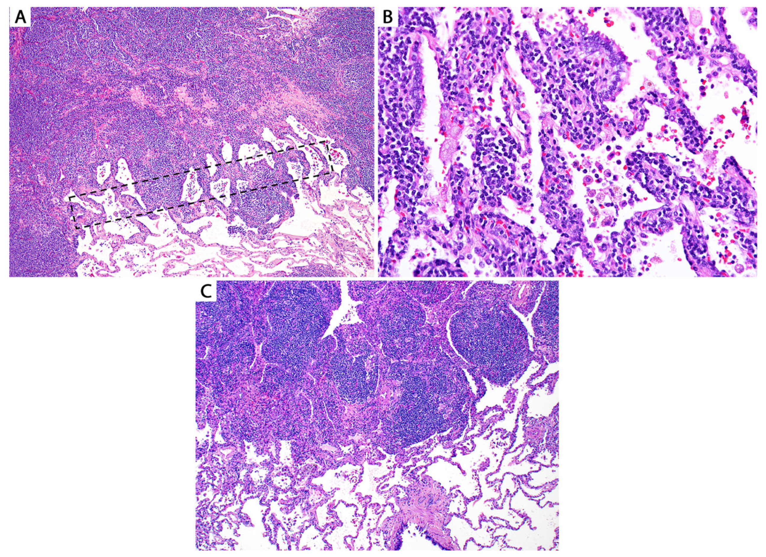 Diagnostics 13 03321 g008