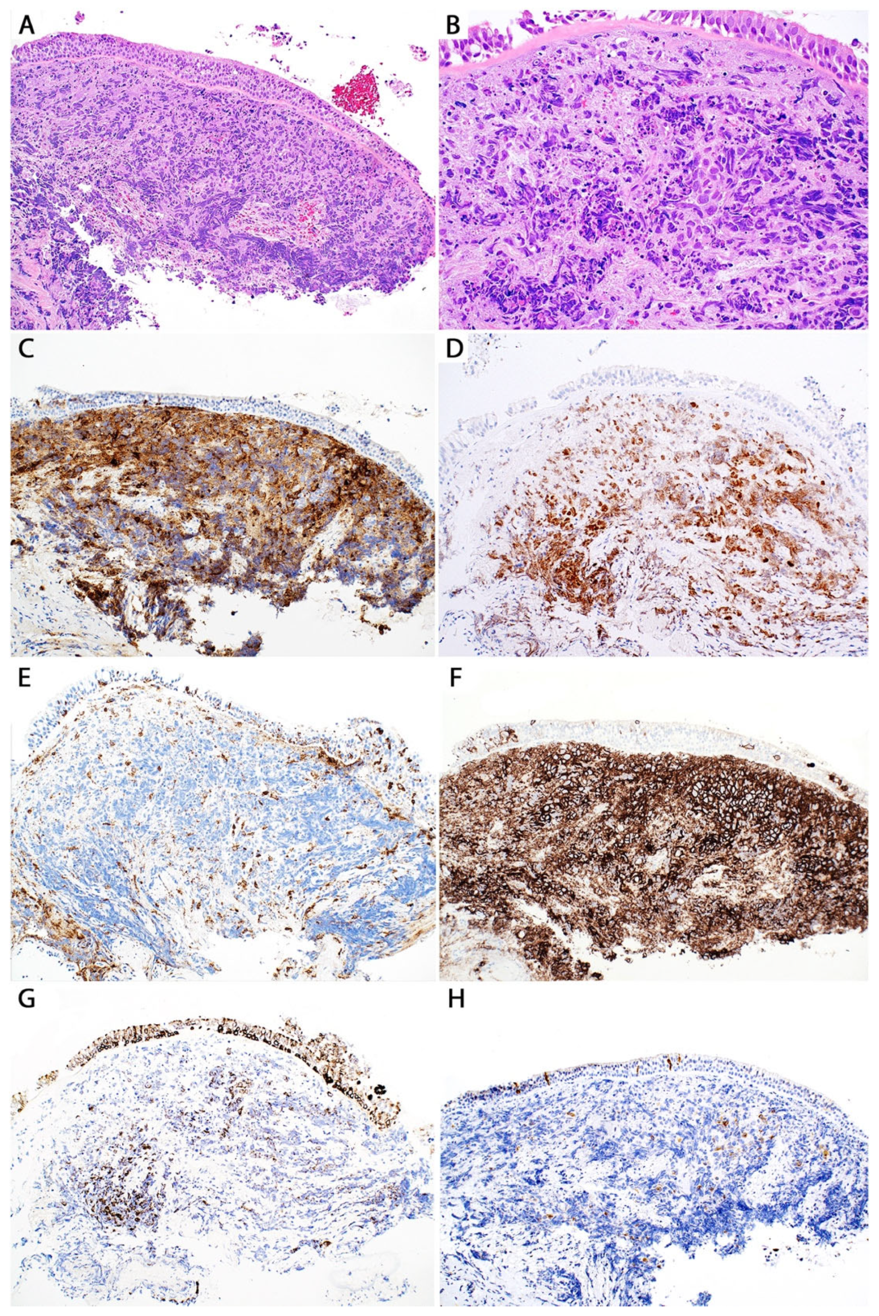 Diagnostics 13 03321 g011