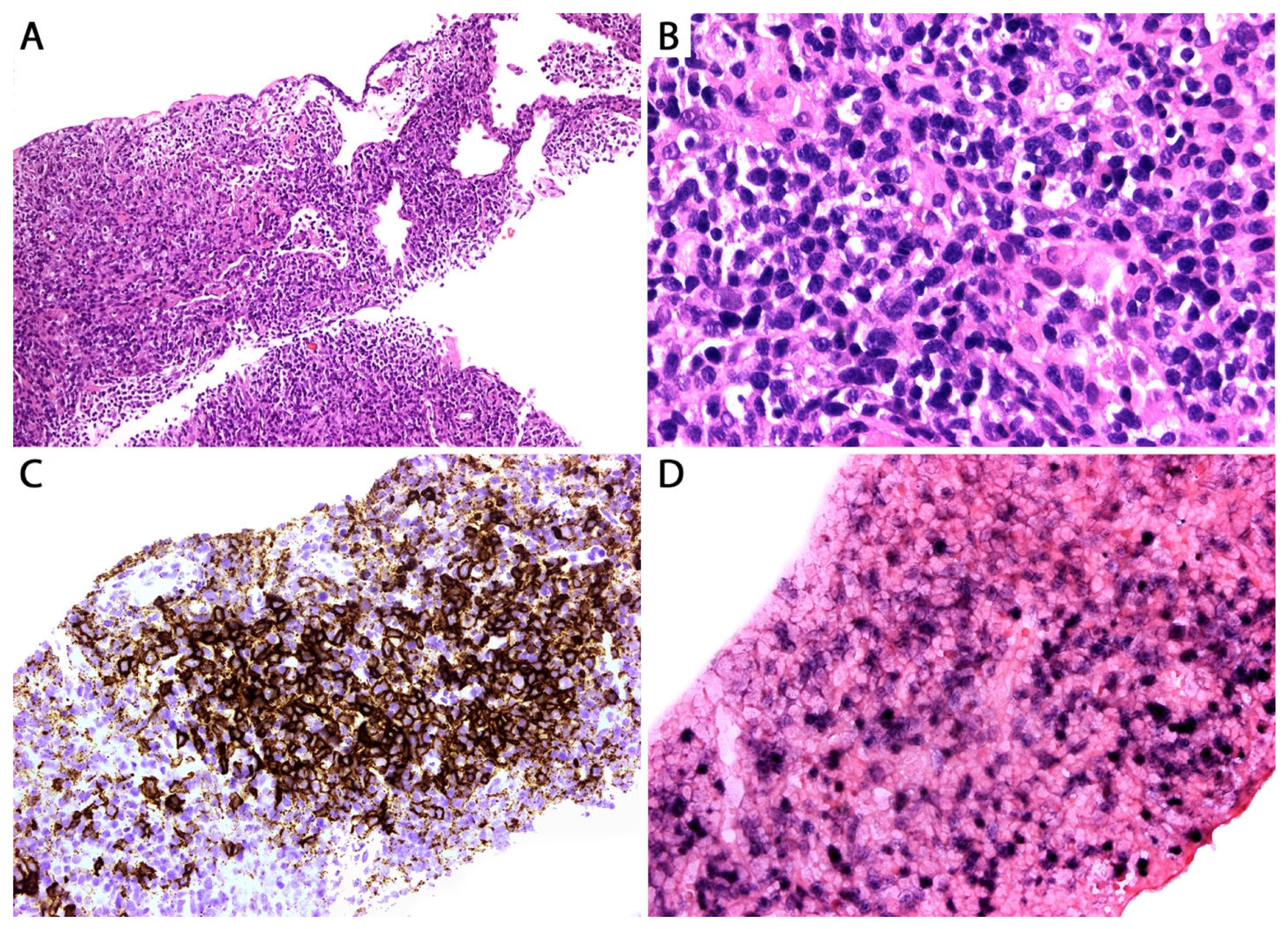 Diagnostics 13 03321 g016
