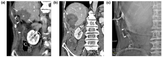 Diagnostics 13 03322 g002