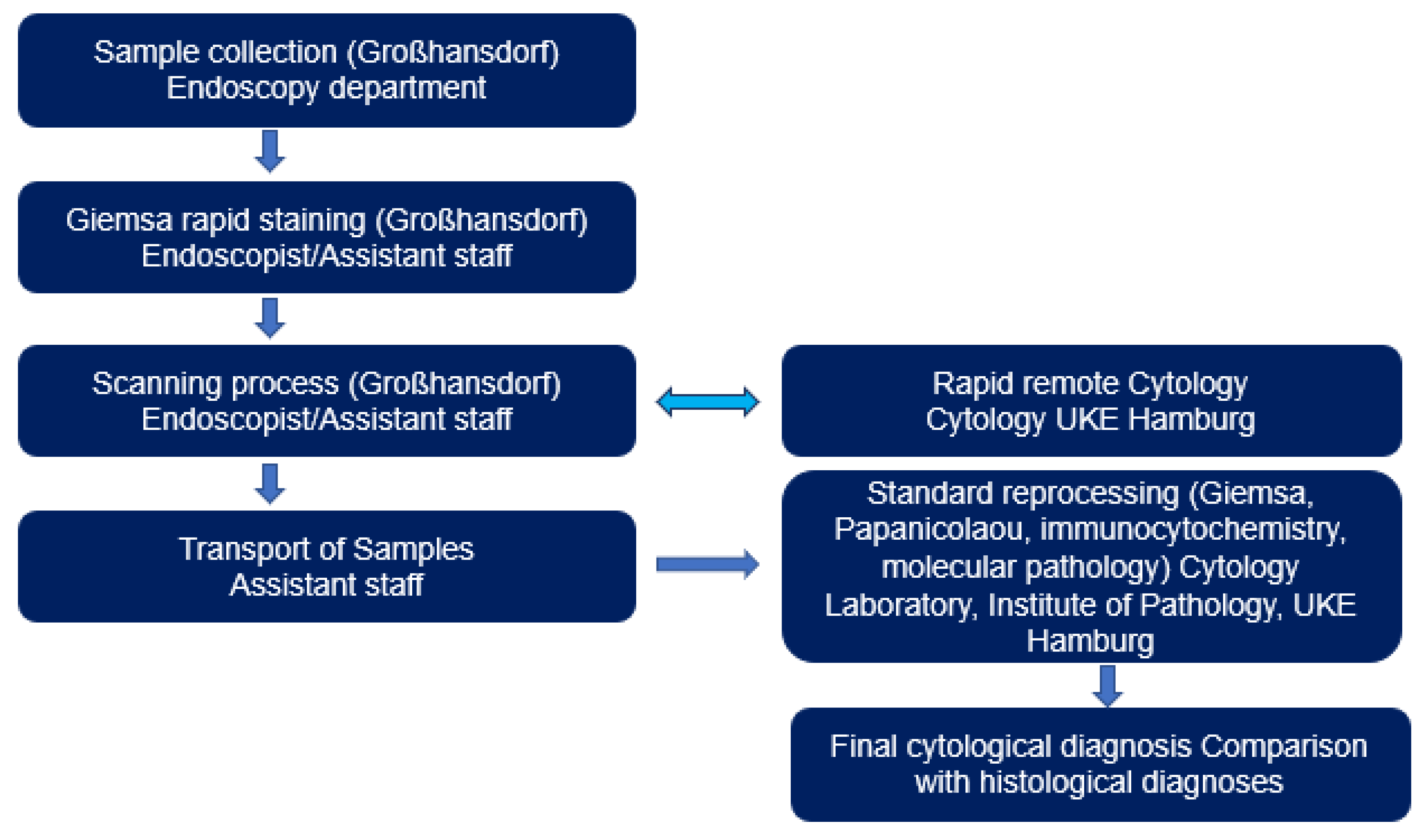 Diagnostics 13 03329 g003