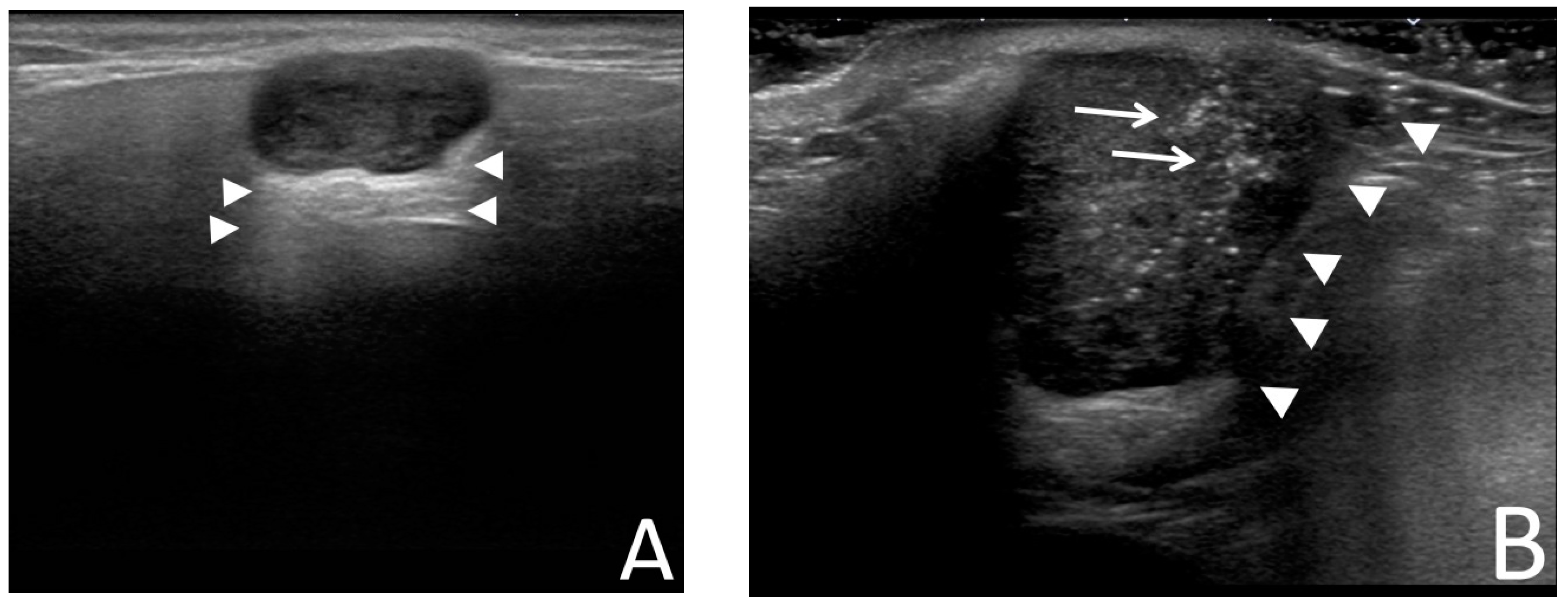 Diagnostics 13 03333 g001