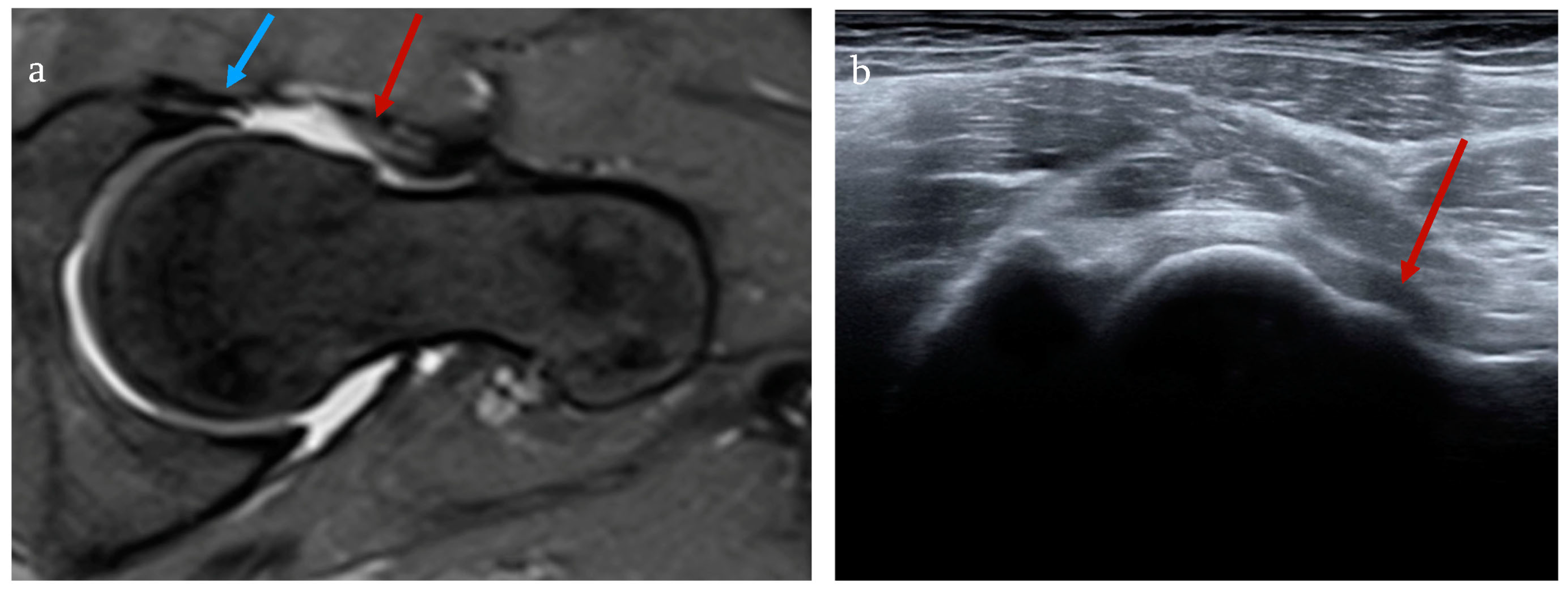 Diagnostics 13 03334 g002