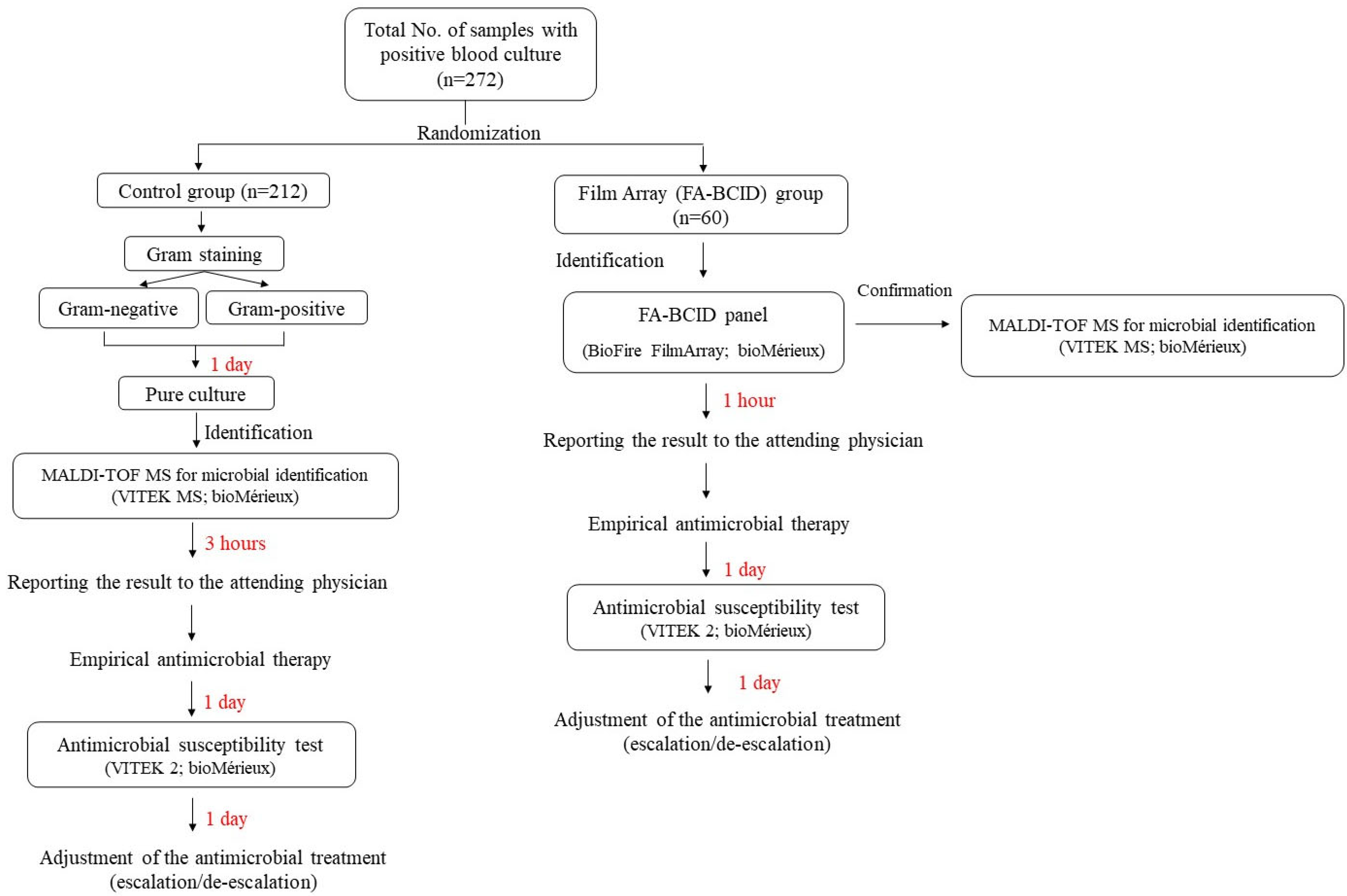 Diagnostics 13 03335 g001