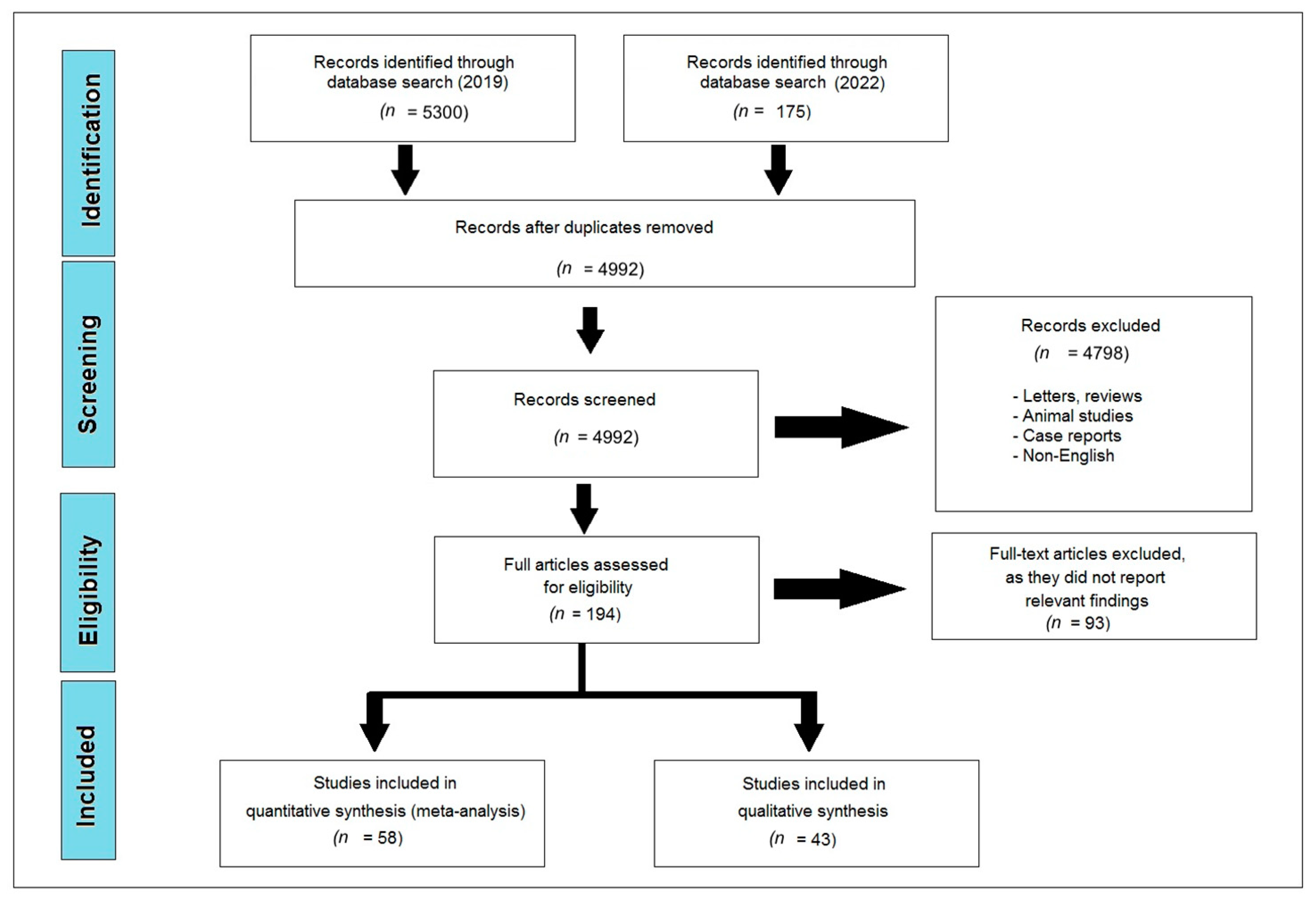 Diagnostics 13 03339 g001