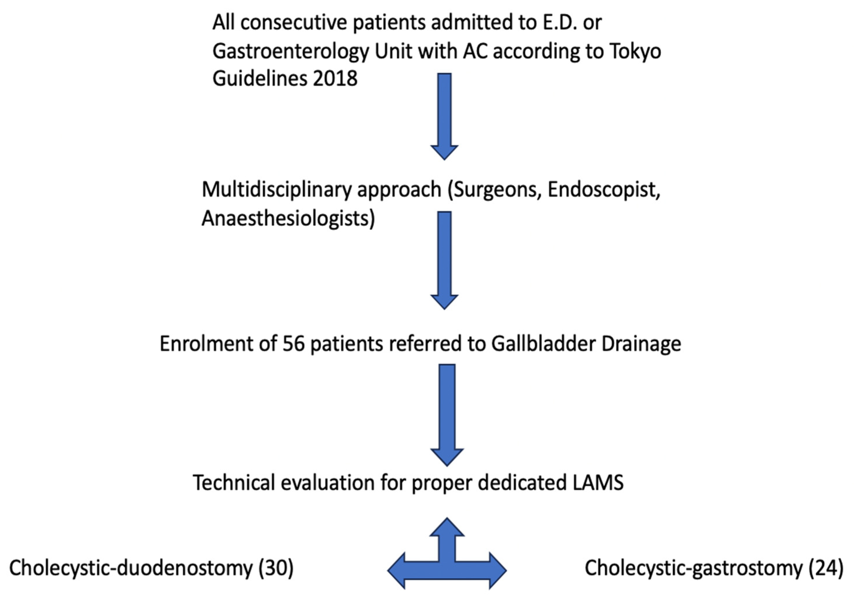 Diagnostics 13 03341 g002