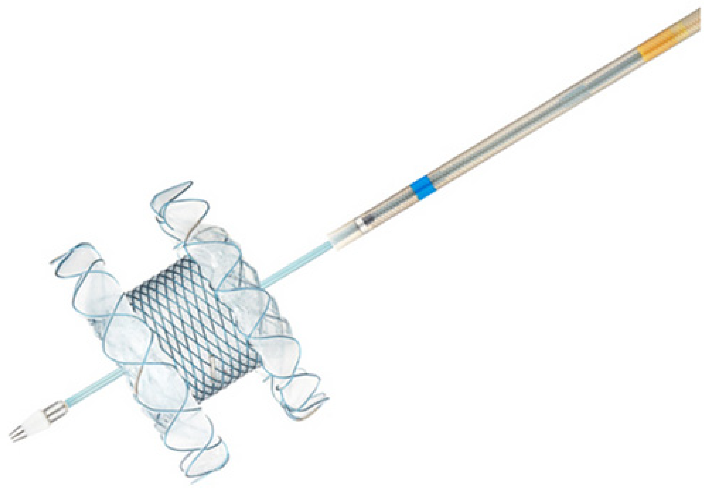 Diagnostics 13 03341 g003