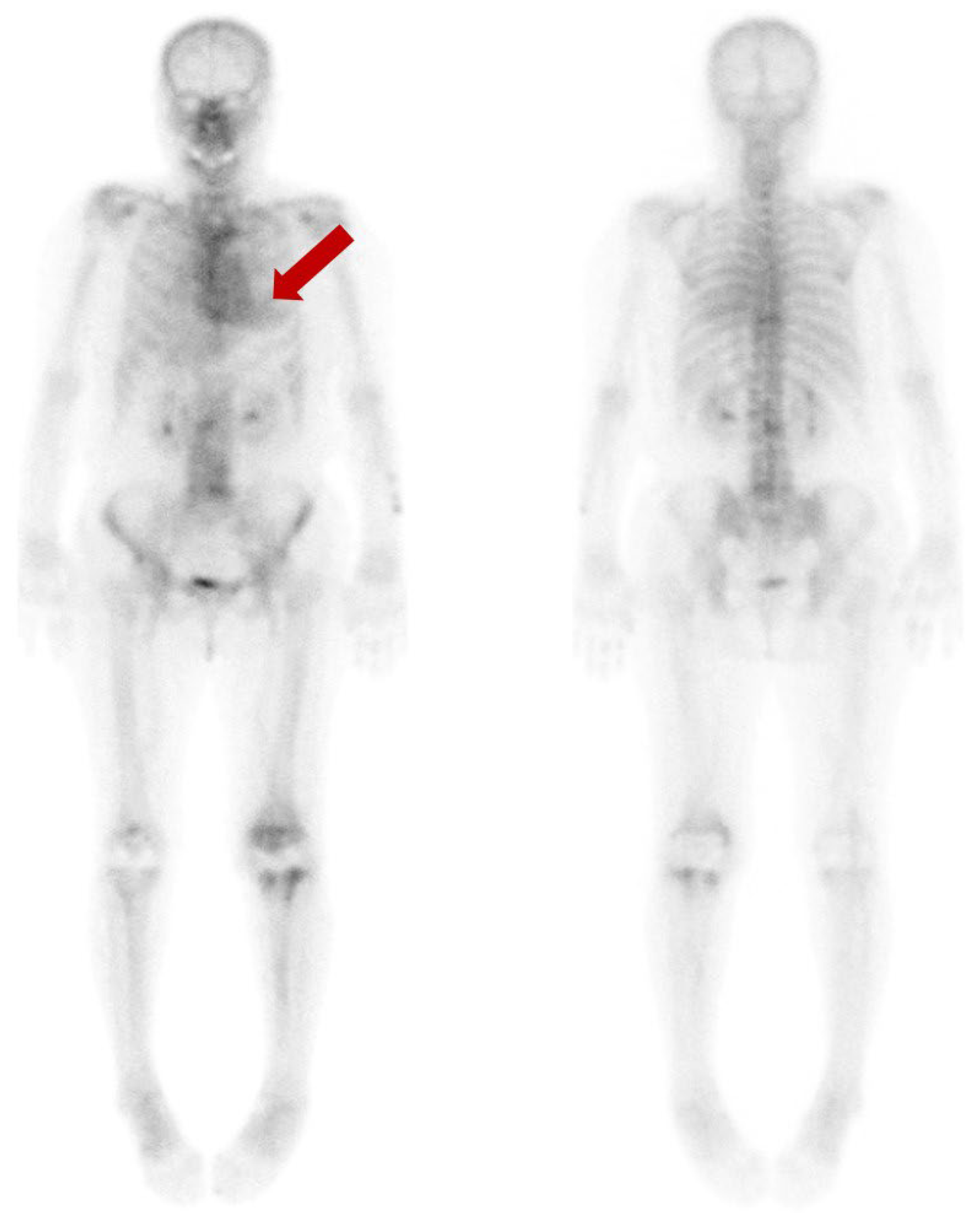 Diagnostics 13 03342 g001