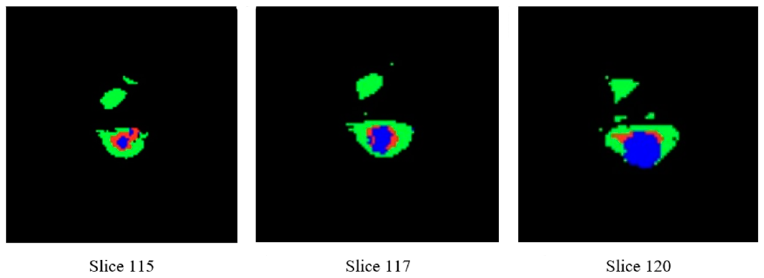 Diagnostics 13 03344 g007