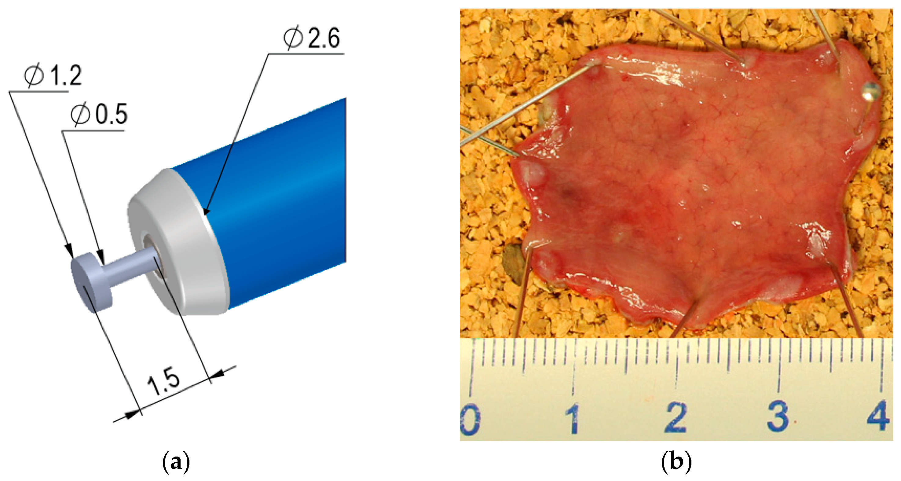 Diagnostics 13 03347 g001