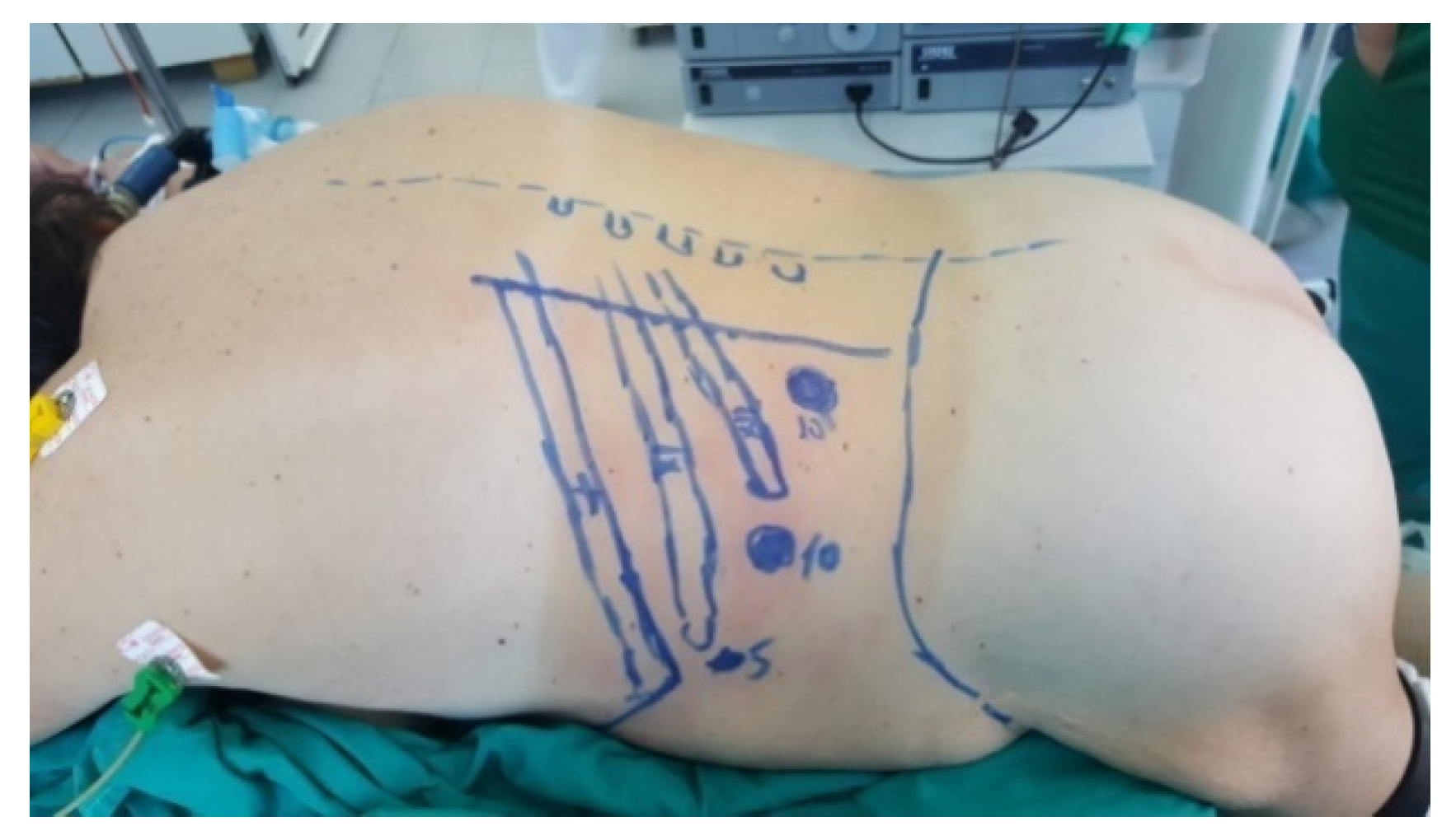 Diagnostics 13 03351 g003