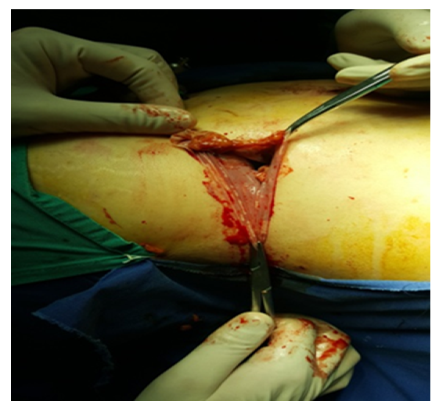 Diagnostics 13 03351 g005